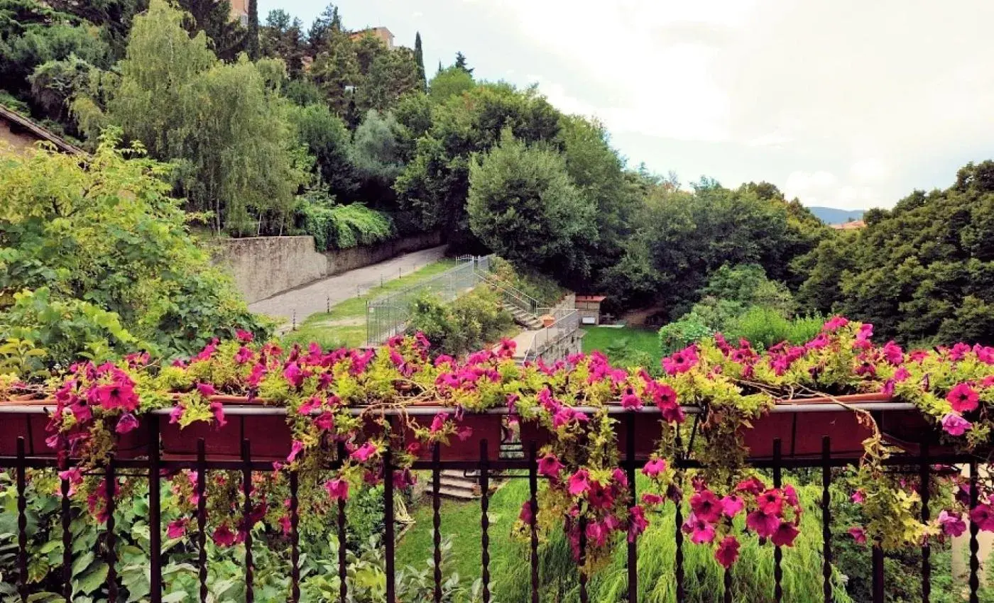 Balcony/Terrace, Garden in Hotel San Sebastiano