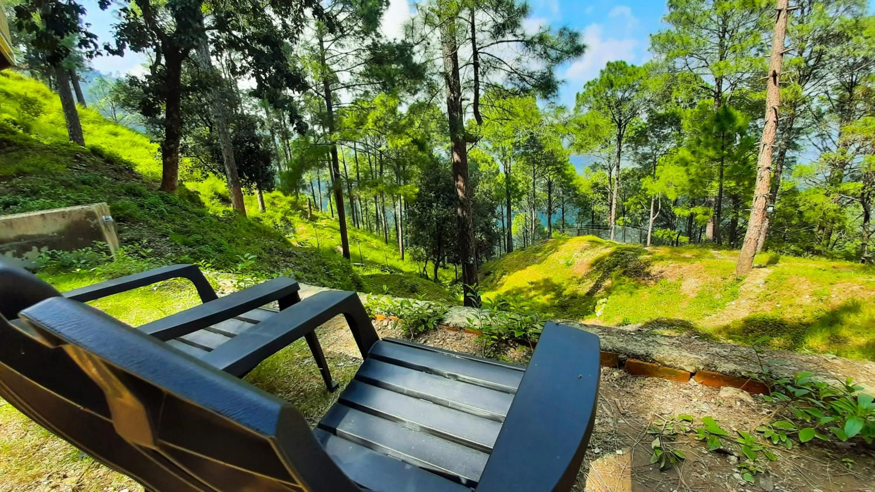 Natural landscape in The Woods Retreat