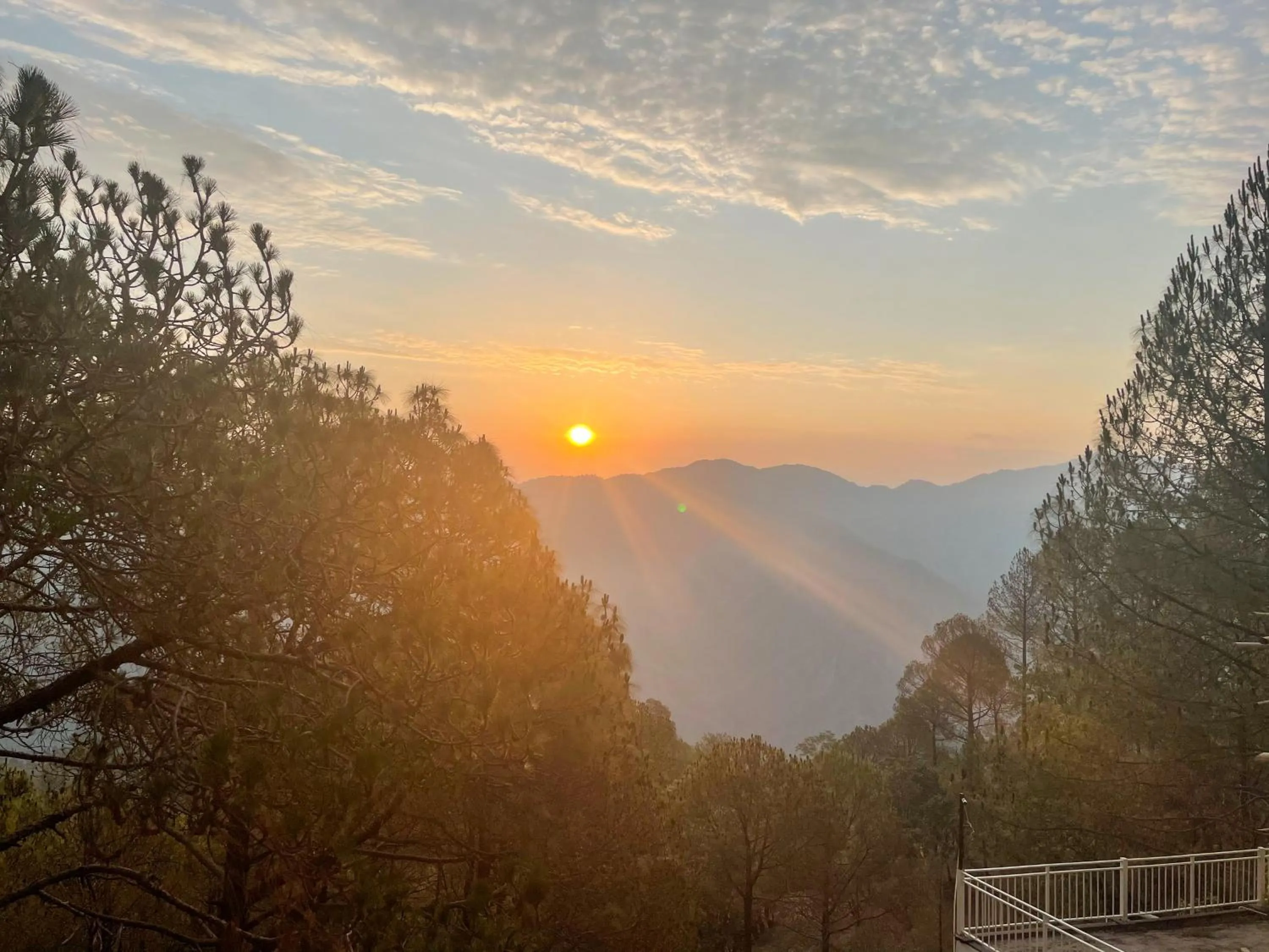 View (from property/room) in The Woods Retreat