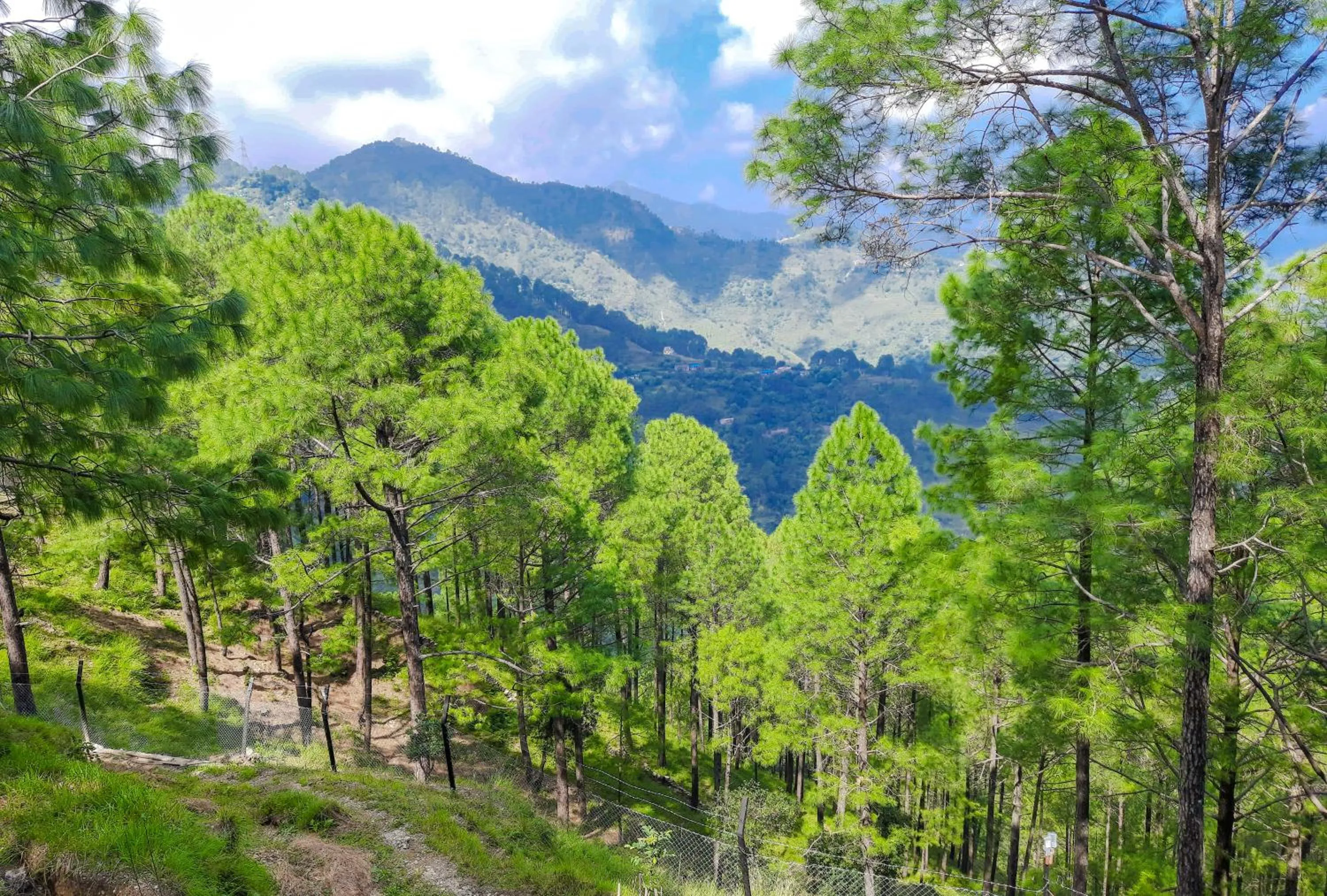 Mountain view in The Woods Retreat