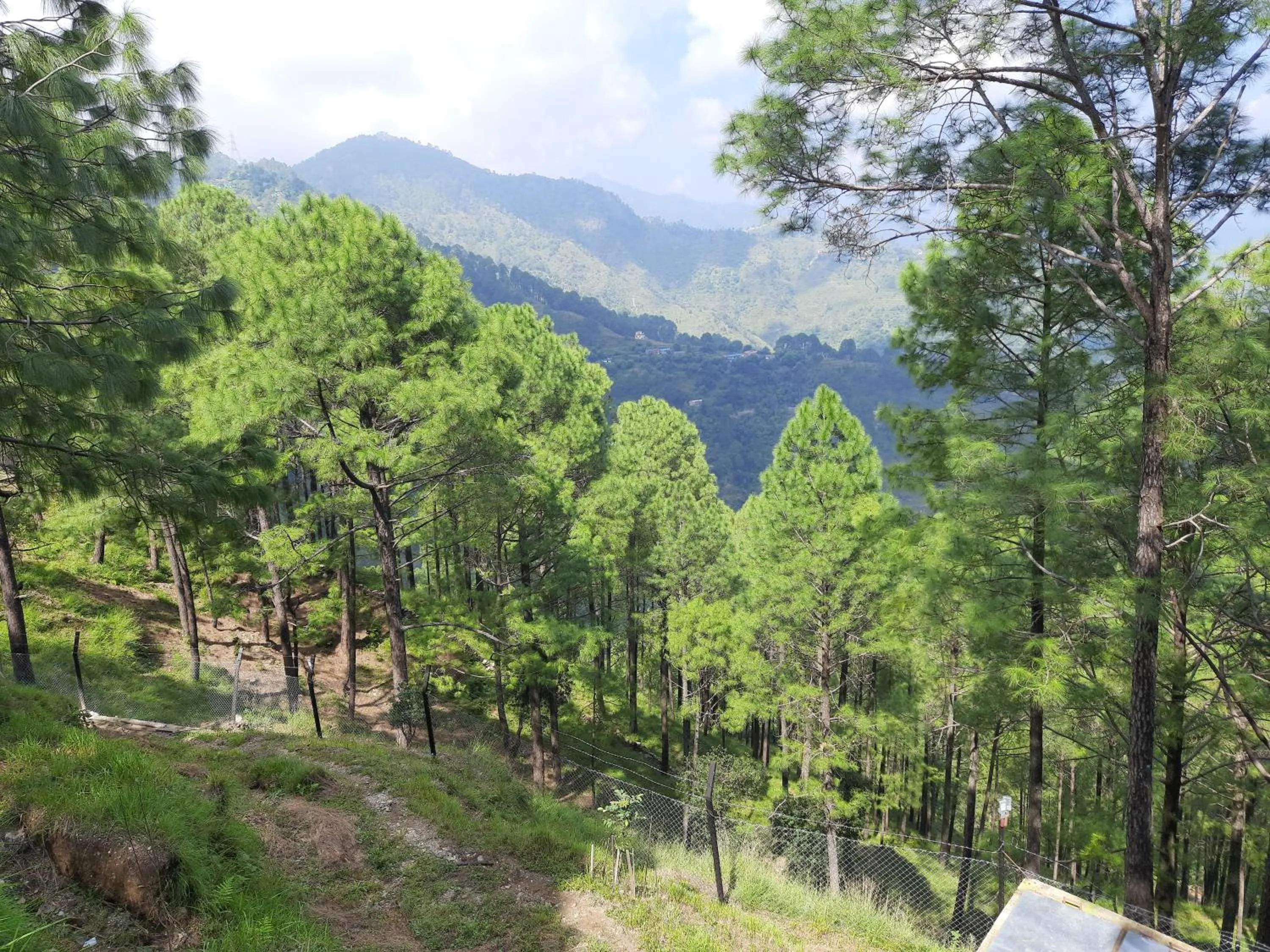 View (from property/room) in The Woods Retreat