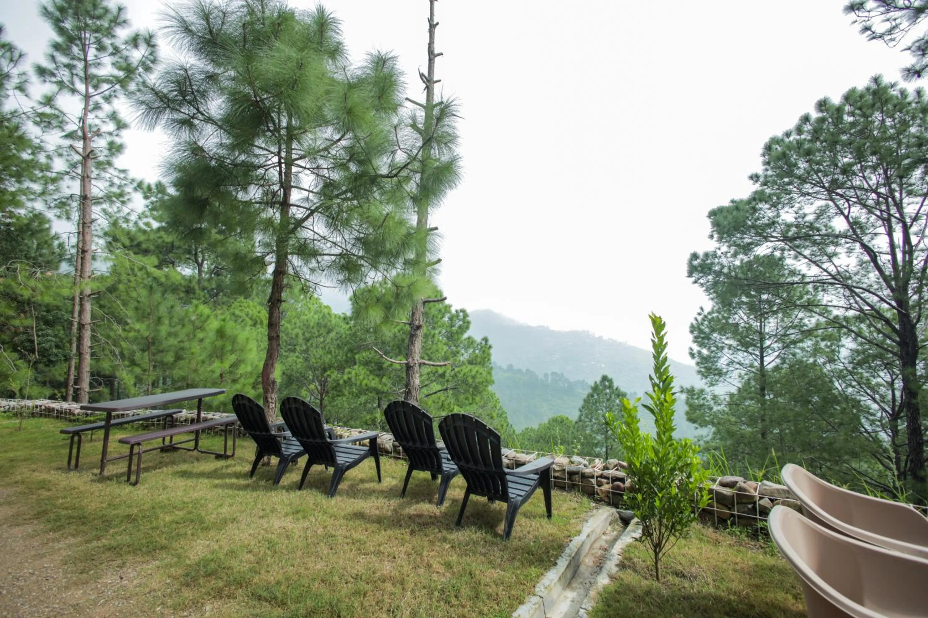 Natural landscape in The Woods Retreat