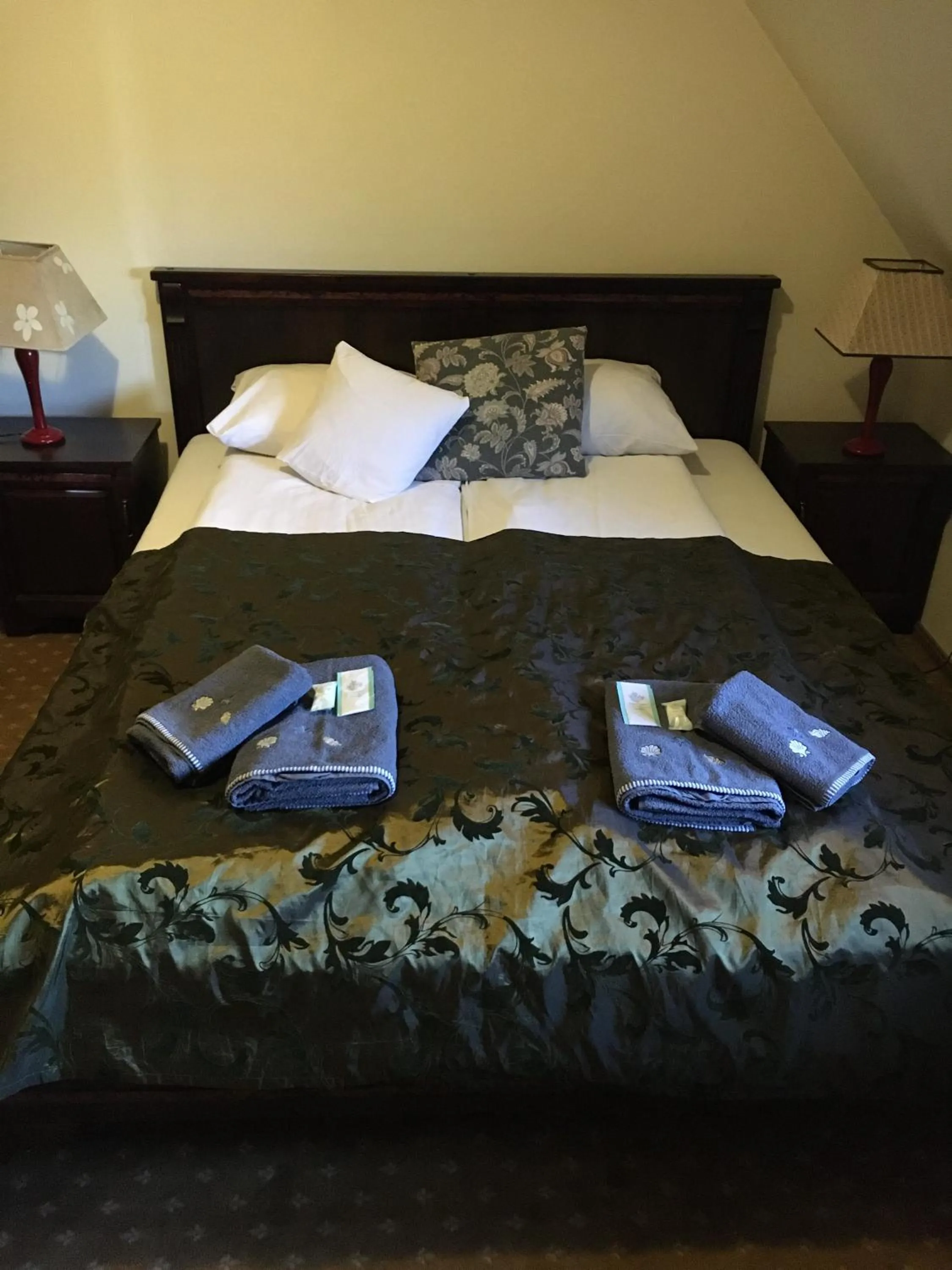 Photo of the whole room, Bed in Dworska Elektrownia