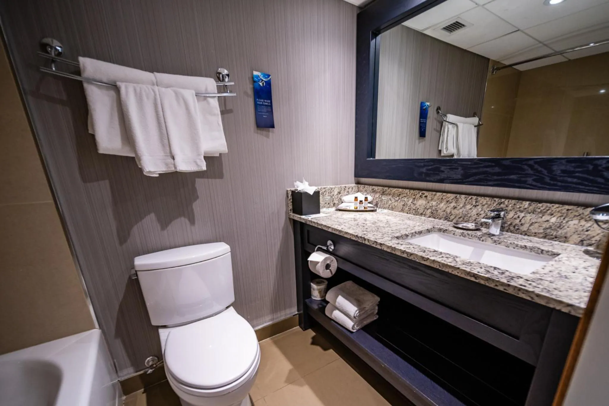 Bathroom in Banff Park Lodge