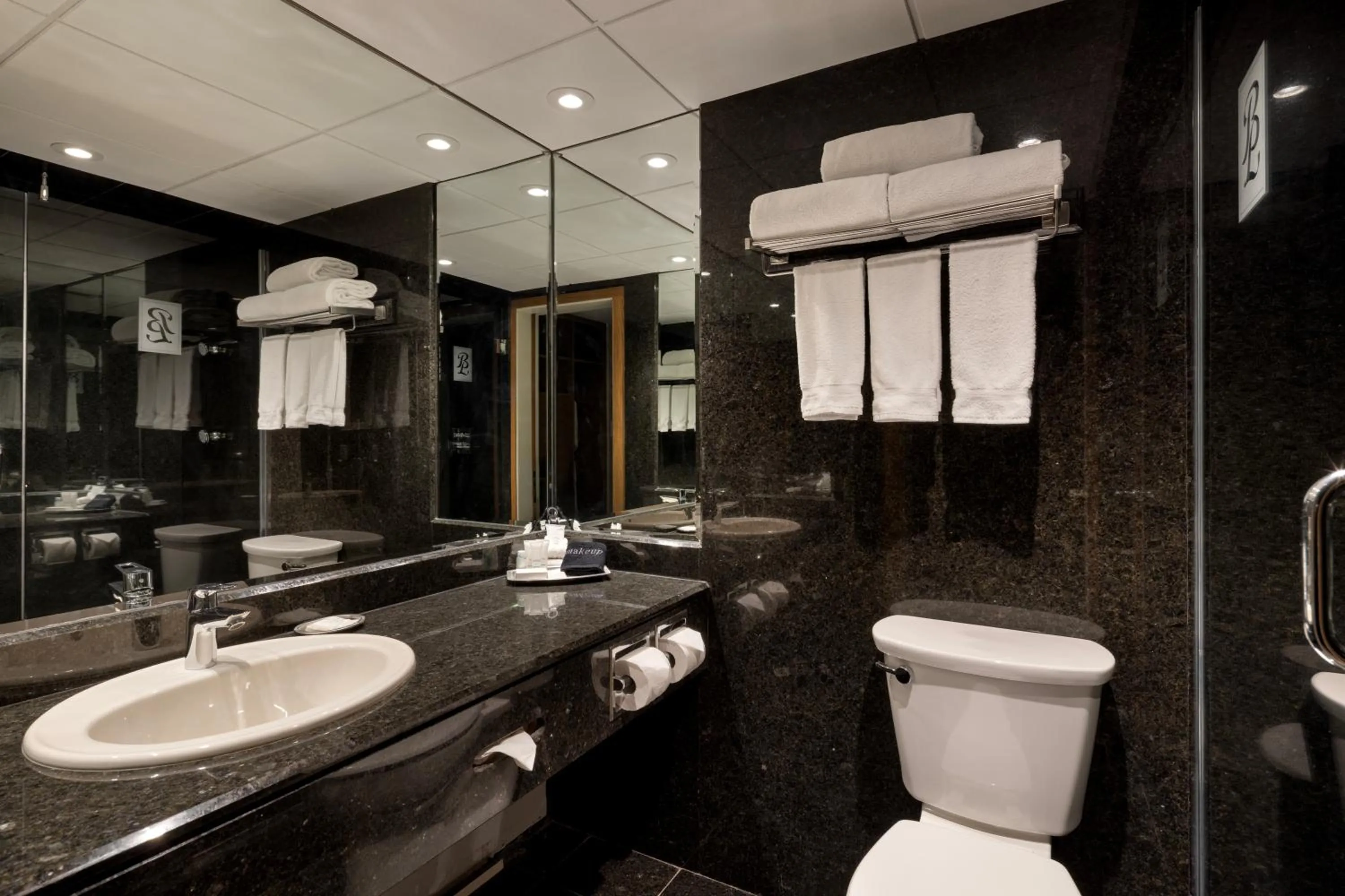 Bathroom in Banff Park Lodge