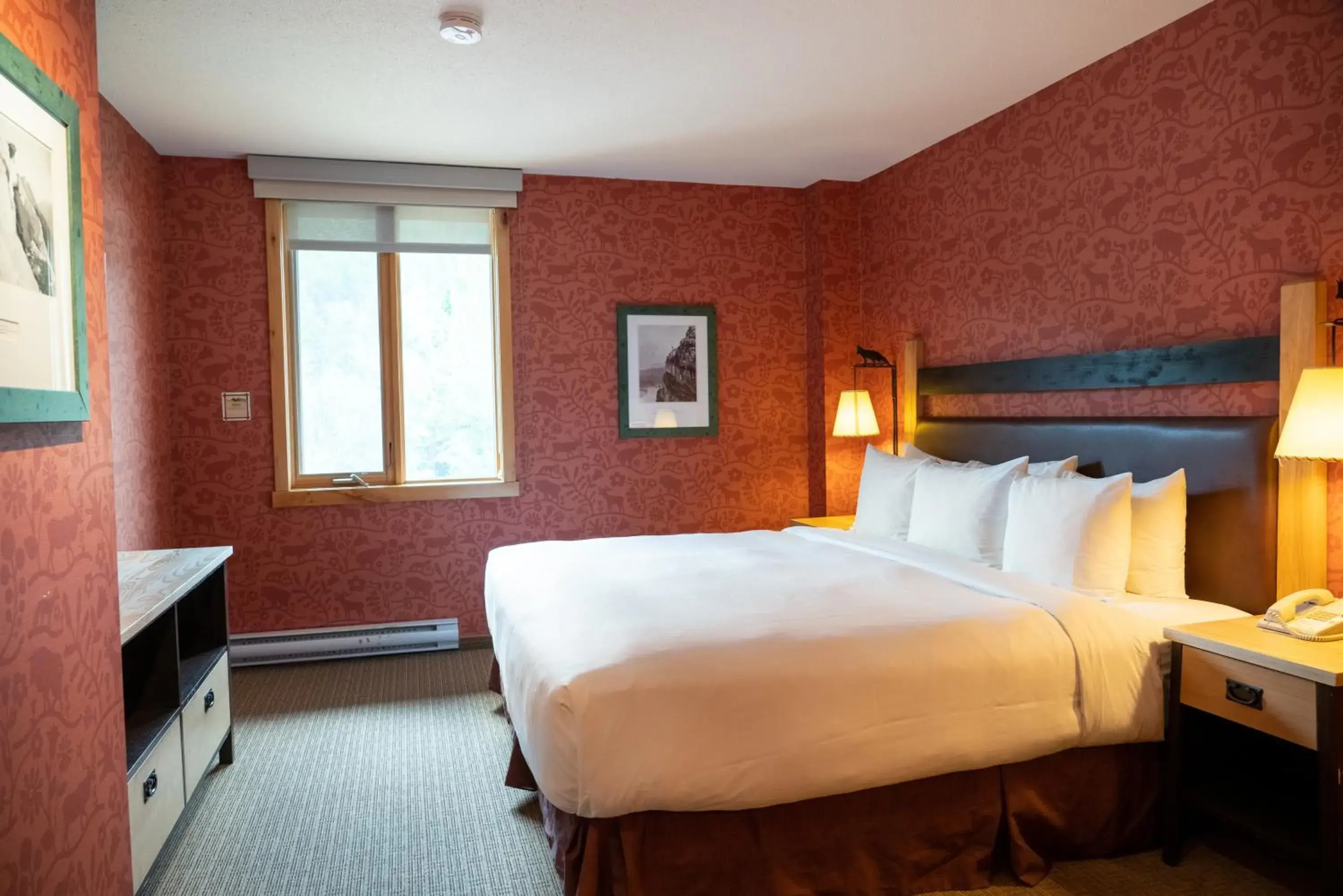 Bed in Fox Hotel and Suites Bed in Fox Hotel and Suites