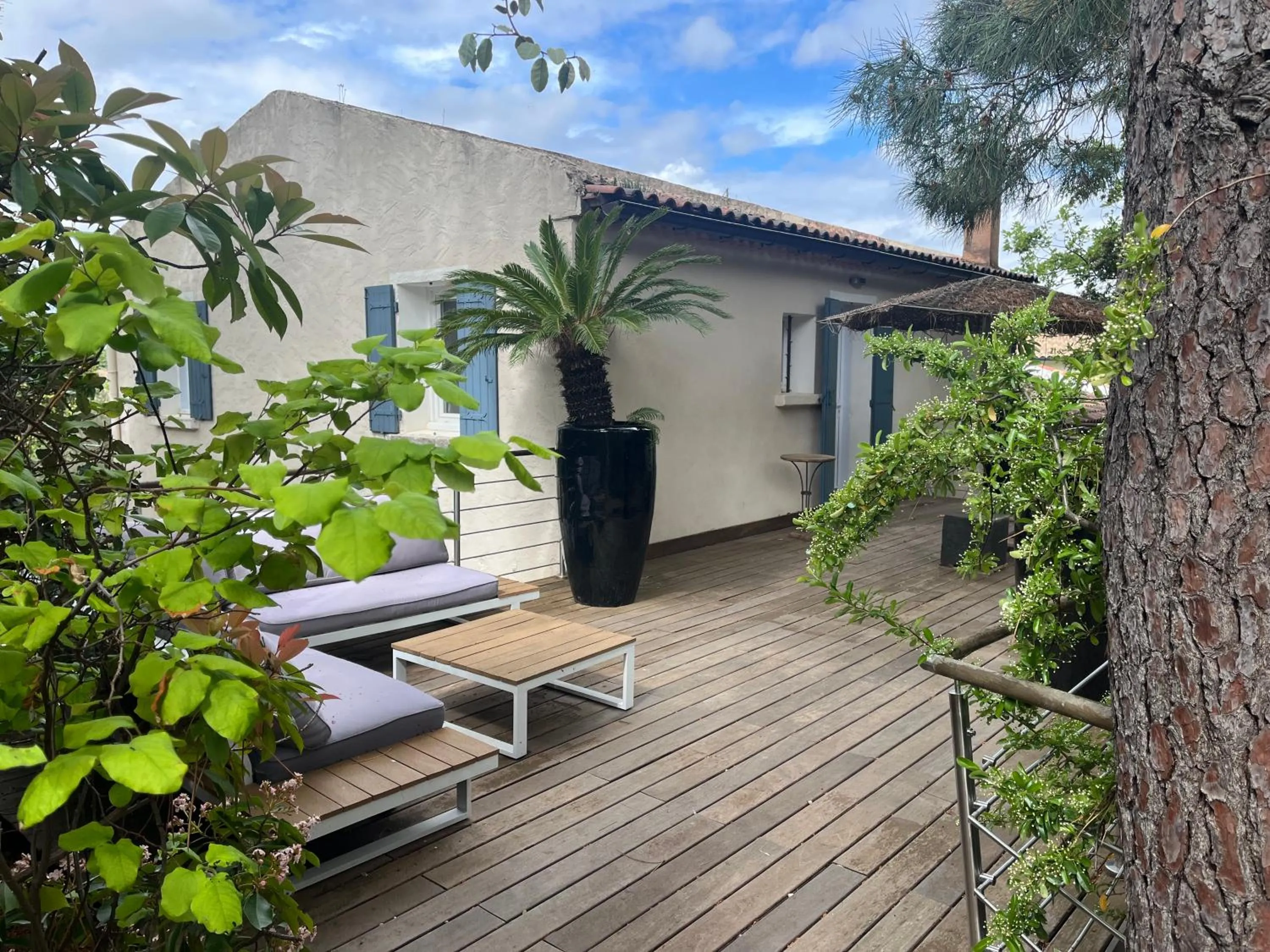 Logis Hôtel restaurant des Pins