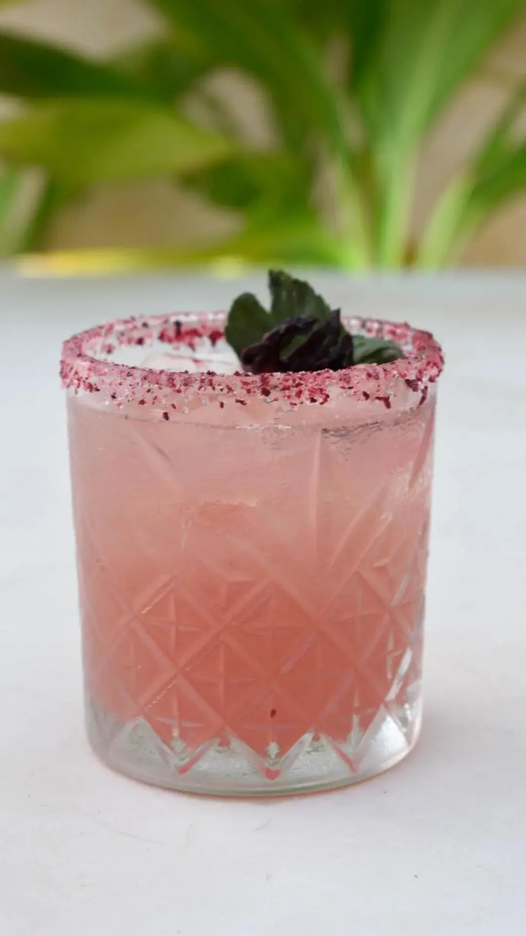 Lounge or bar in Eterna Tulum Lounge or bar in Eterna Tulum