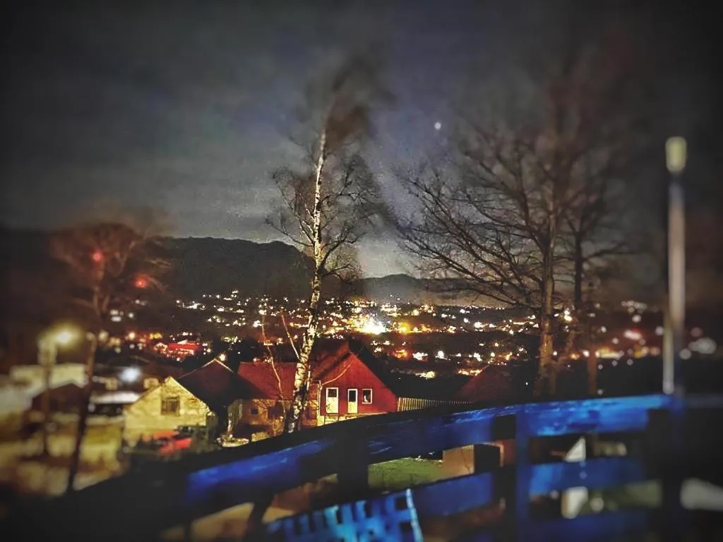City view in CONTELE VLADIMIR