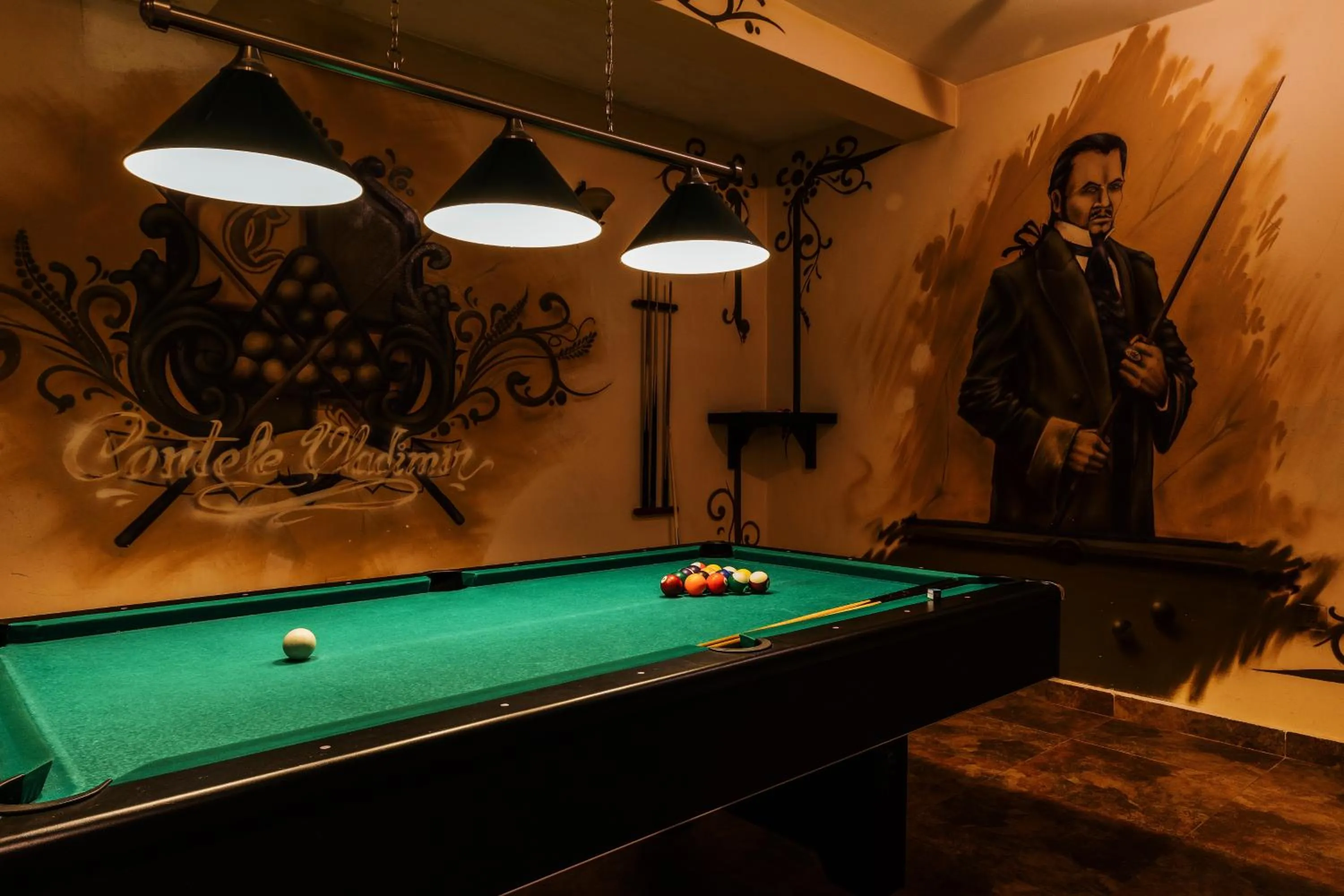 Billiard in CONTELE VLADIMIR