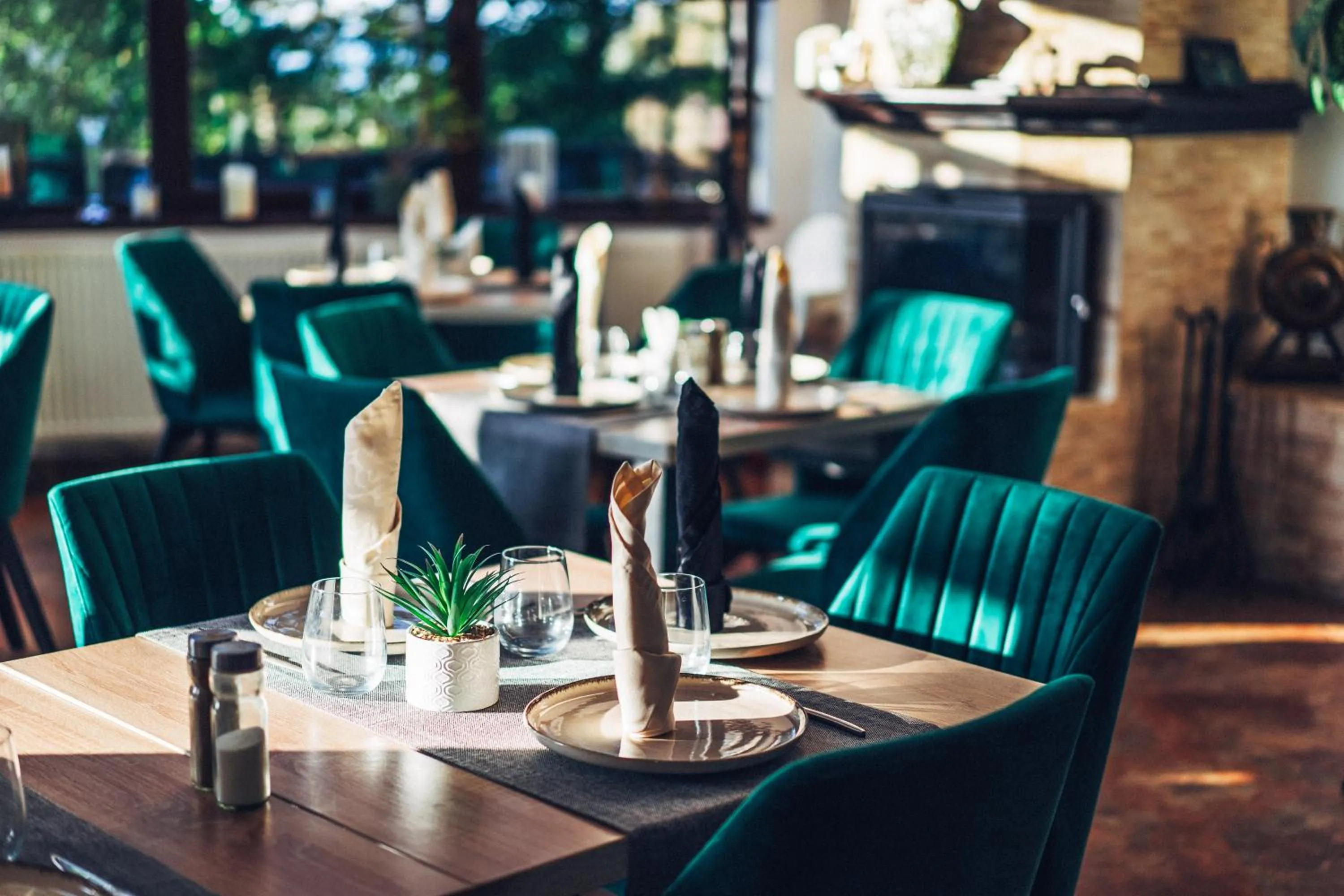 Restaurant/places to eat in CONTELE VLADIMIR