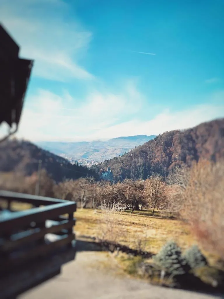 View (from property/room) in CONTELE VLADIMIR
