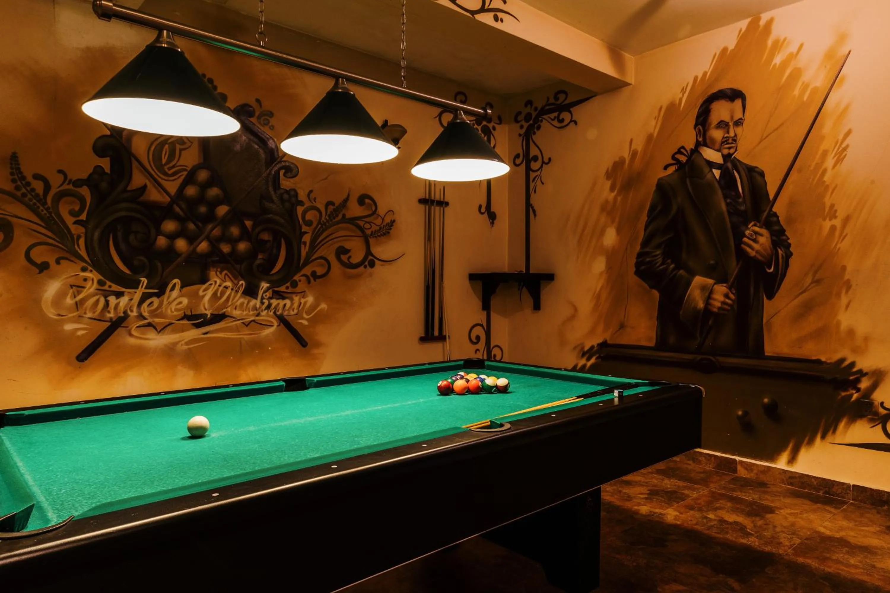 Billiard in CONTELE VLADIMIR