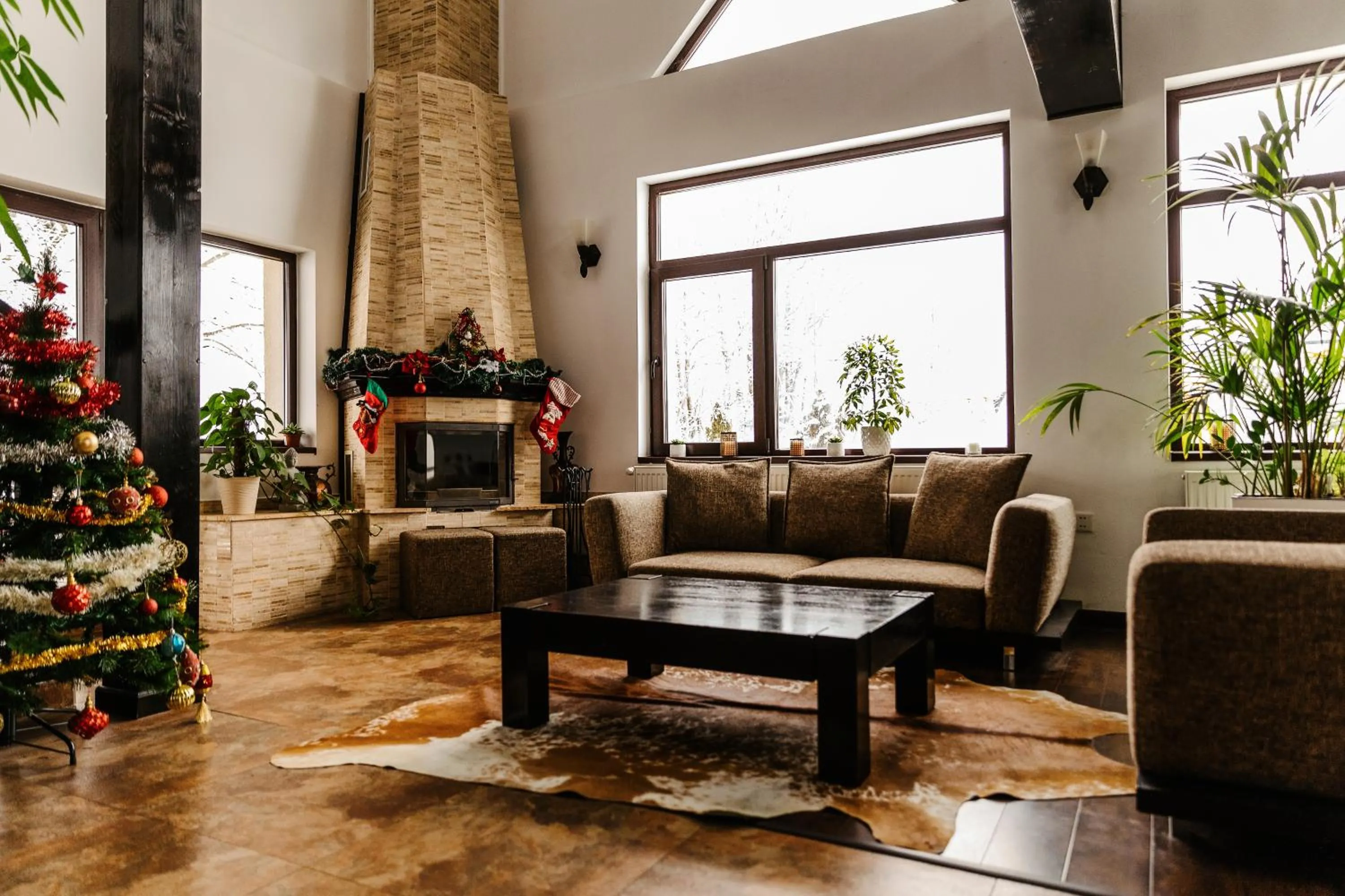 Living room in CONTELE VLADIMIR