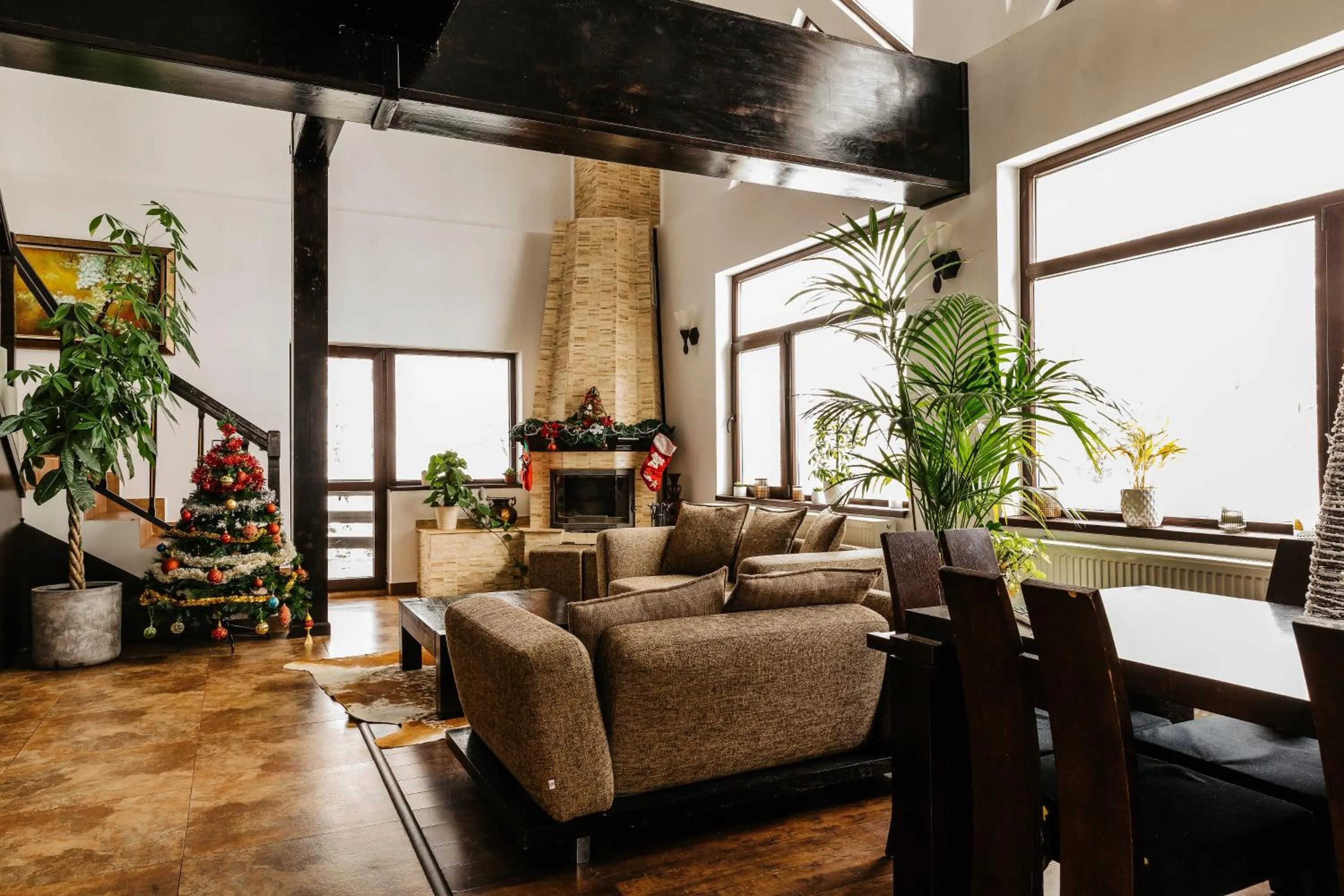 Living room in CONTELE VLADIMIR
