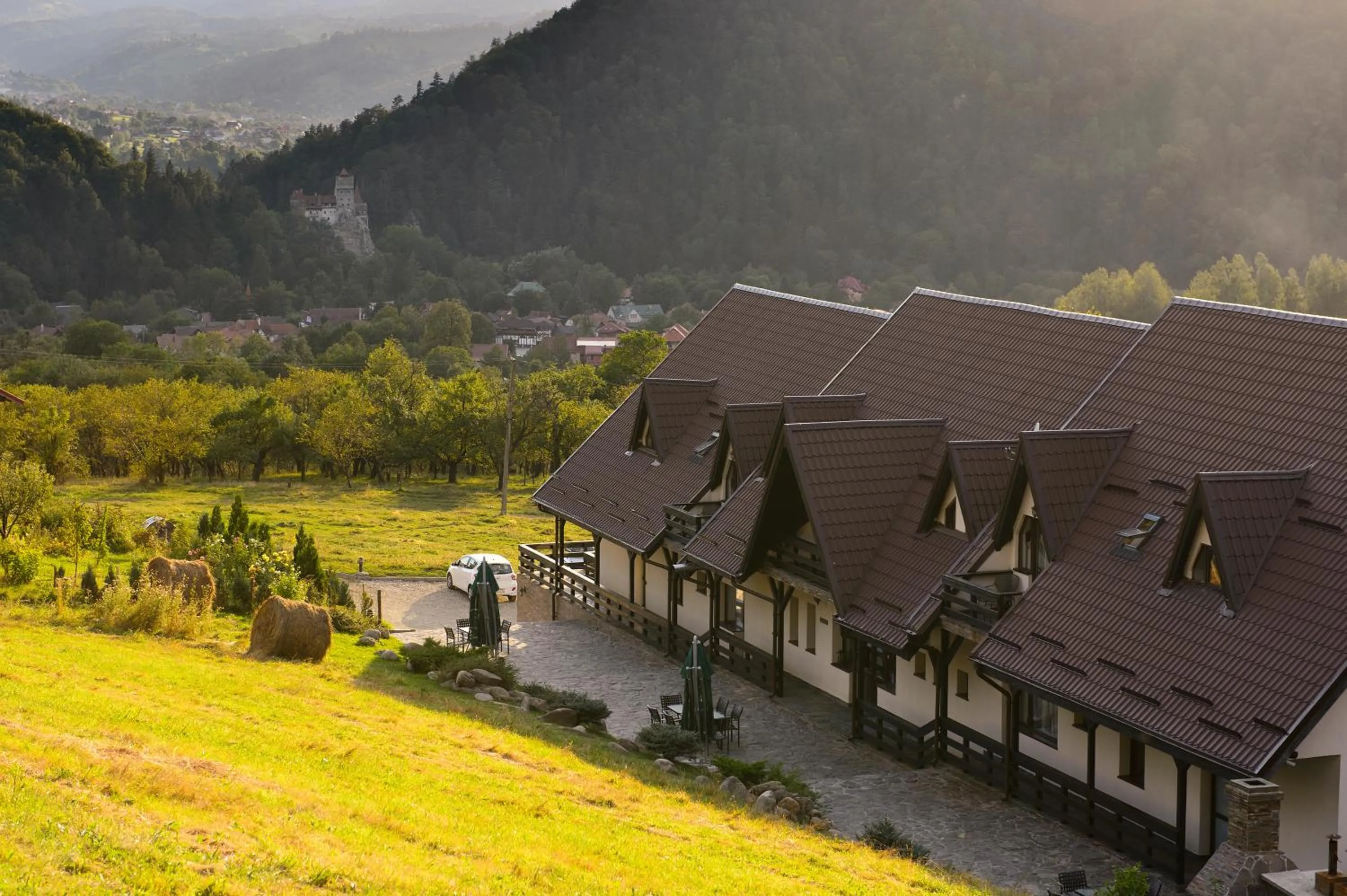 Property building in CONTELE VLADIMIR