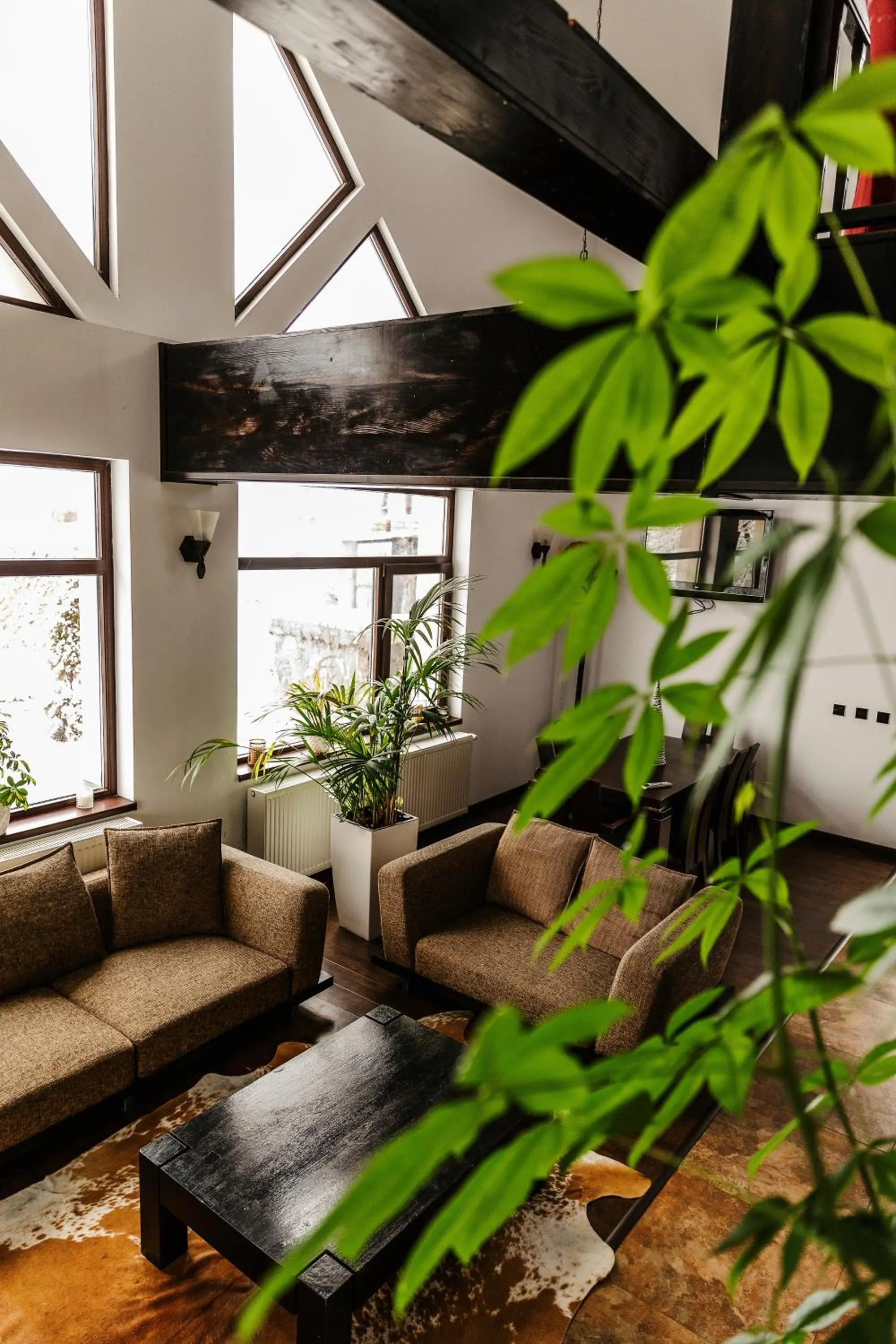 Living room in CONTELE VLADIMIR