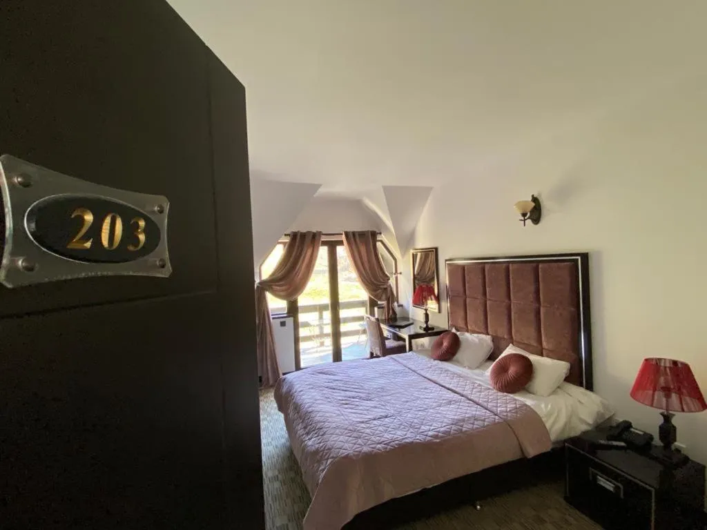 Photo of the whole room, Bed in CONTELE VLADIMIR
