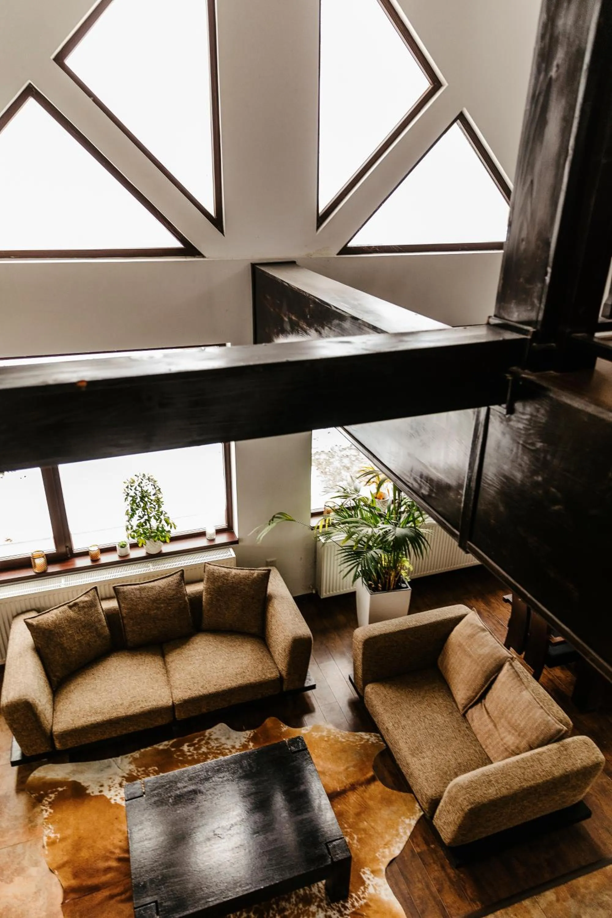 Living room in CONTELE VLADIMIR