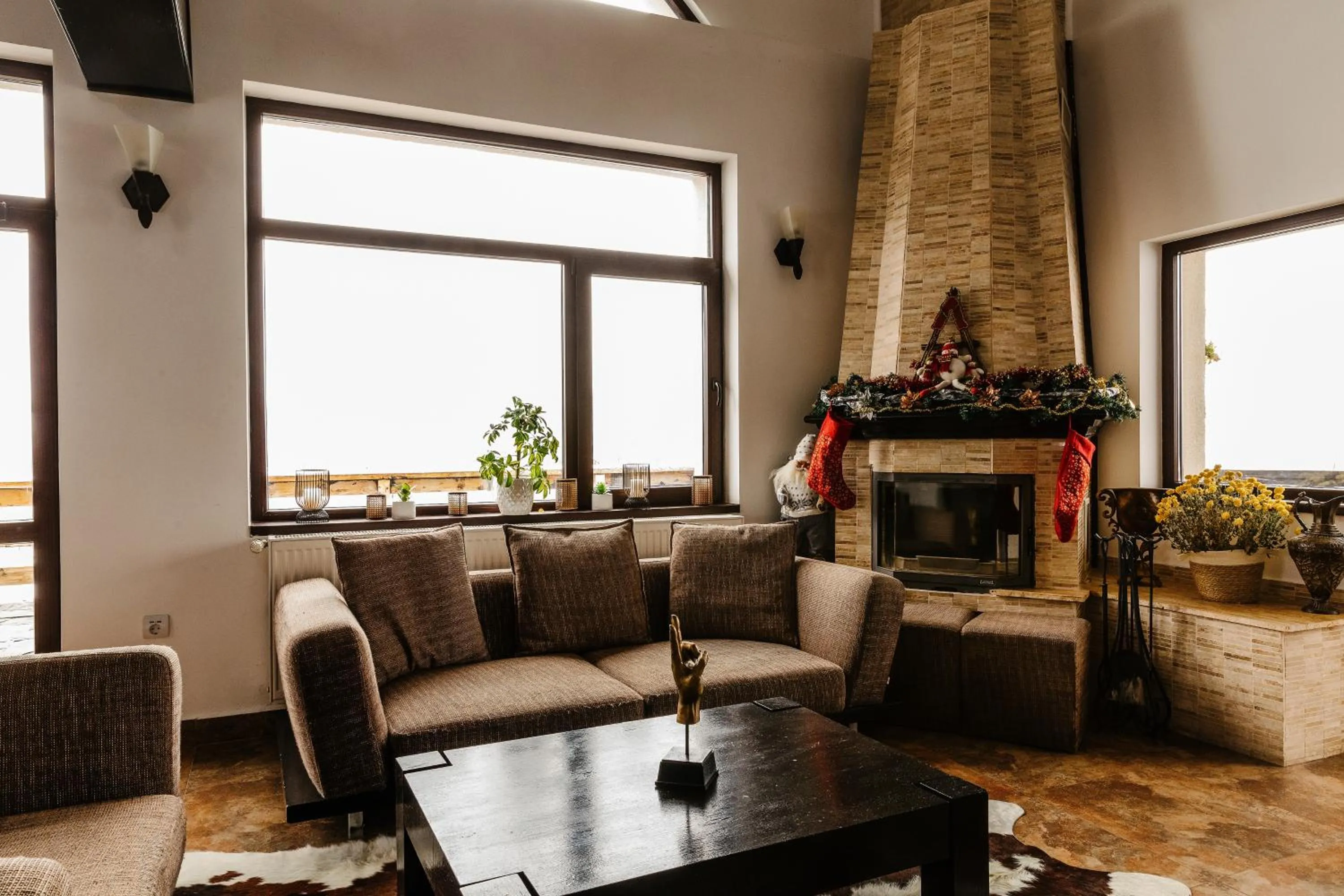 Living room in CONTELE VLADIMIR