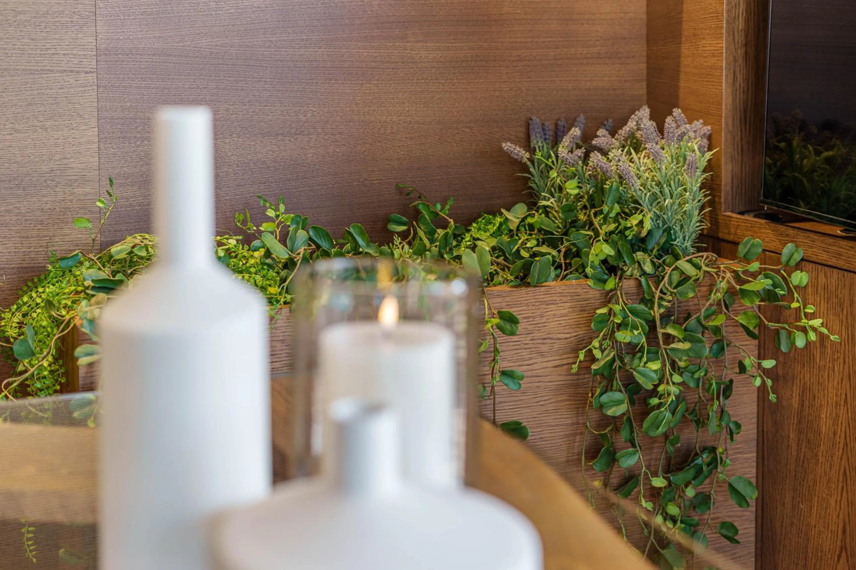 Other in Apartamentos Gibralfaro Centro