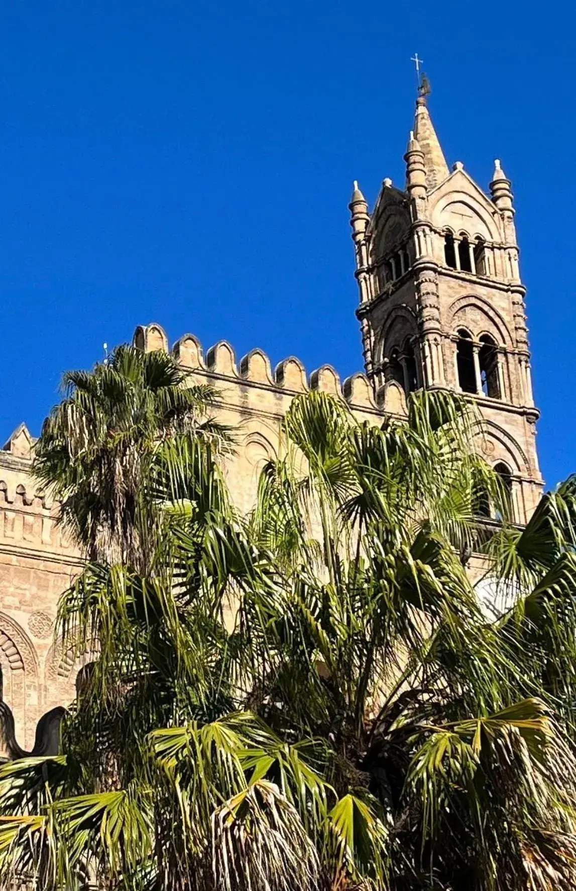 Palermo Center Residenza IN Cattedrale Superior Apartment Palermo Center Residenza IN Cattedrale Superior Apartment