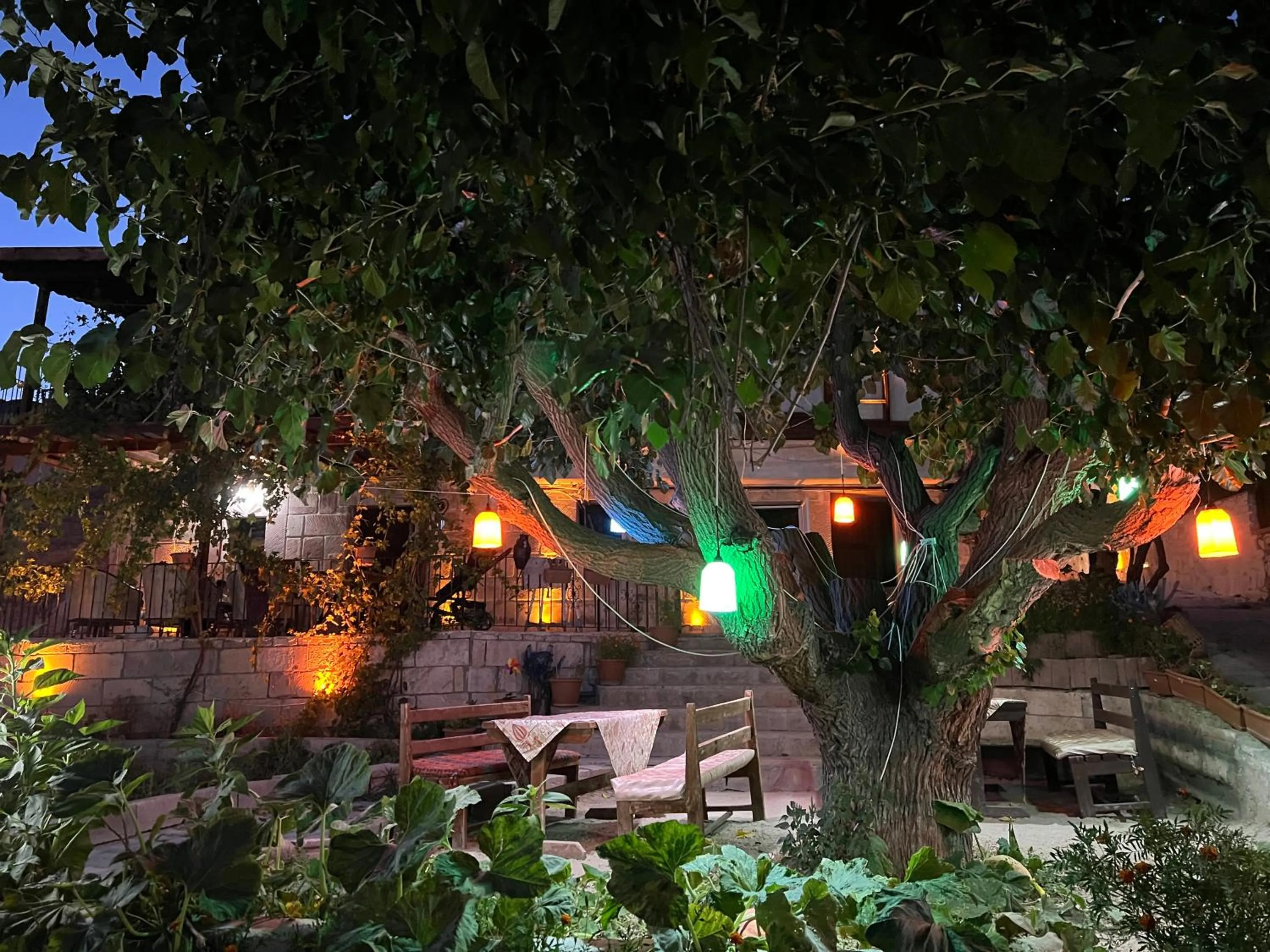 Garden in Tatlı Kaya Otel