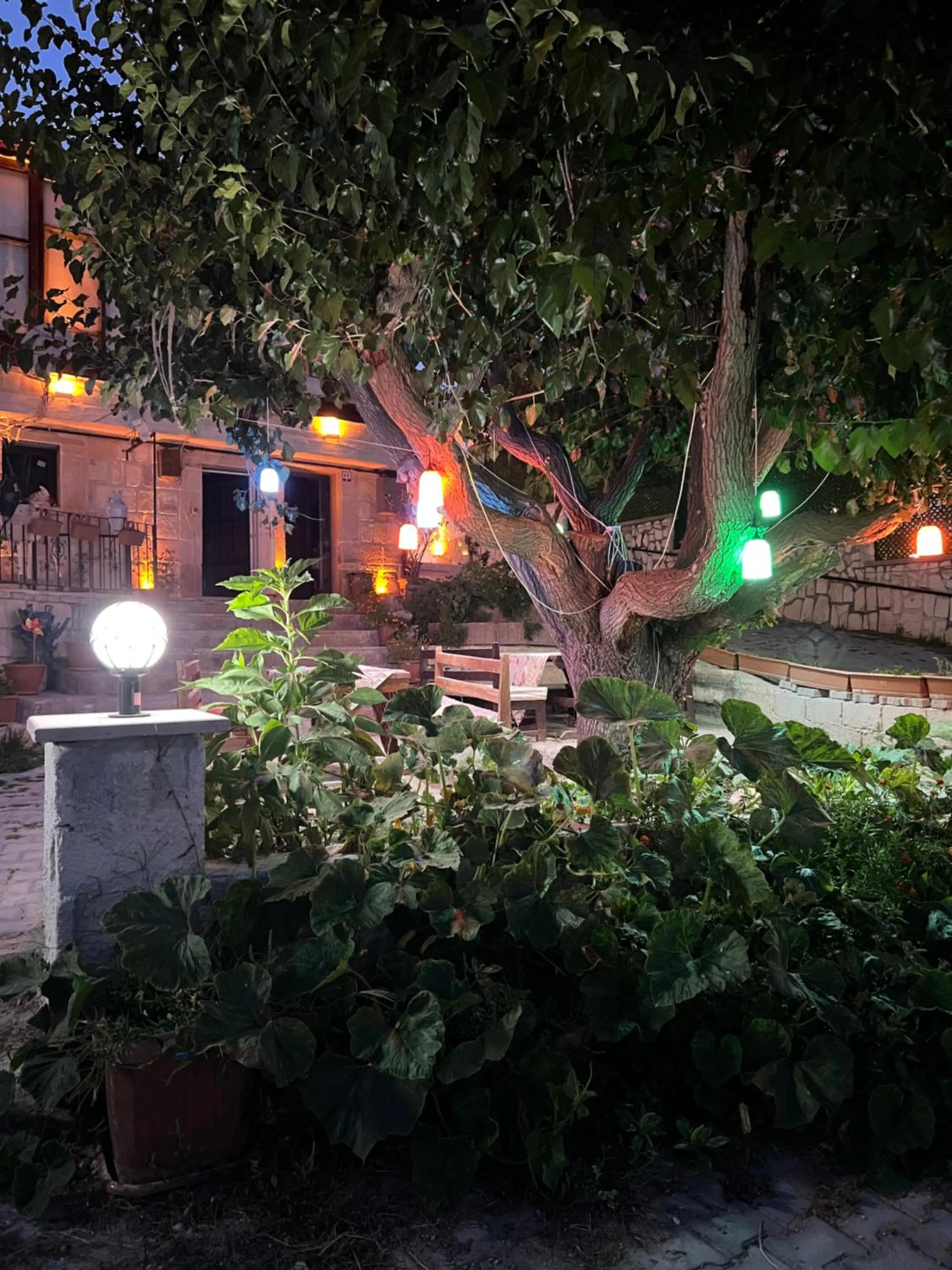 Garden in Tatlı Kaya Otel