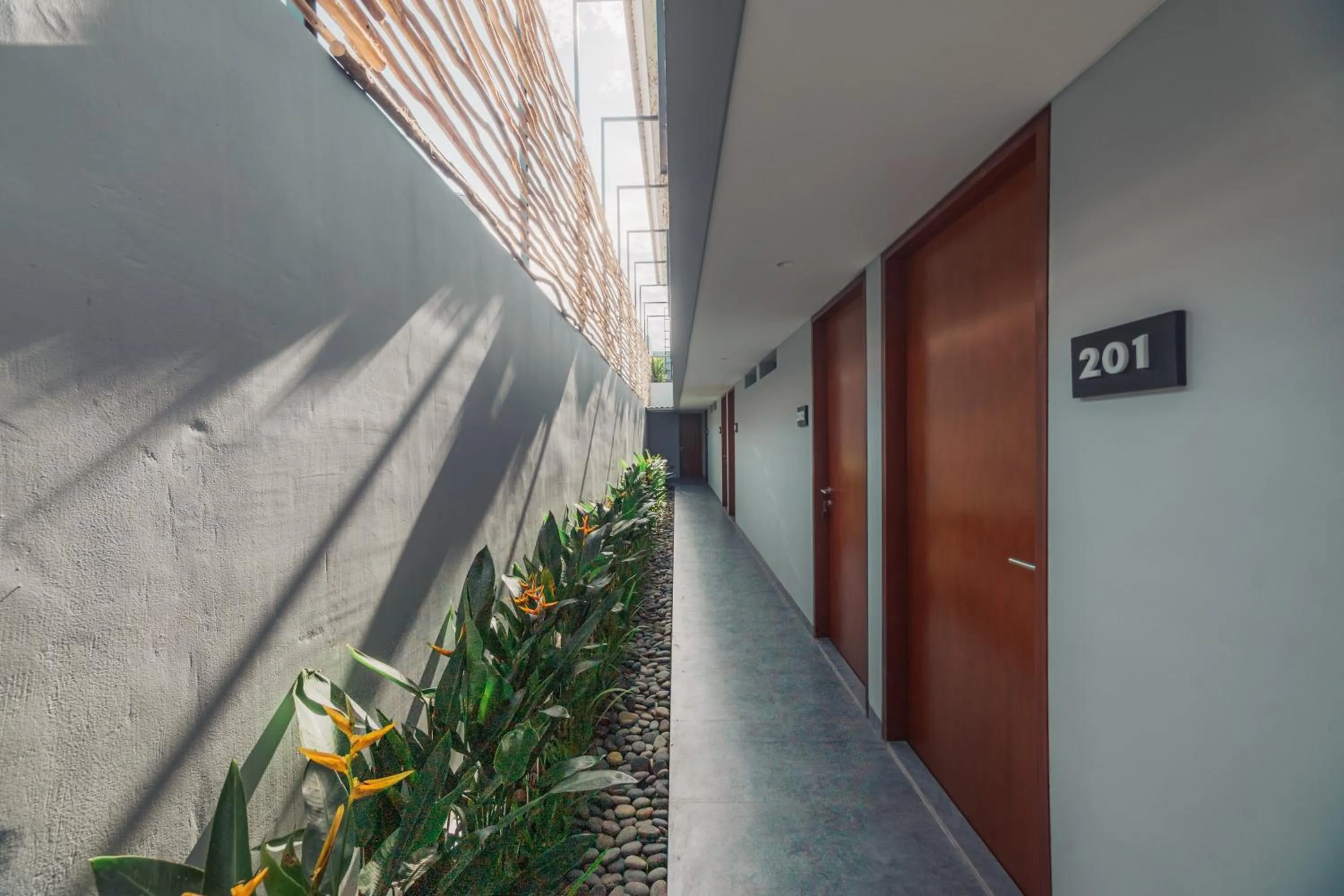 Property building in Bestah Coliving