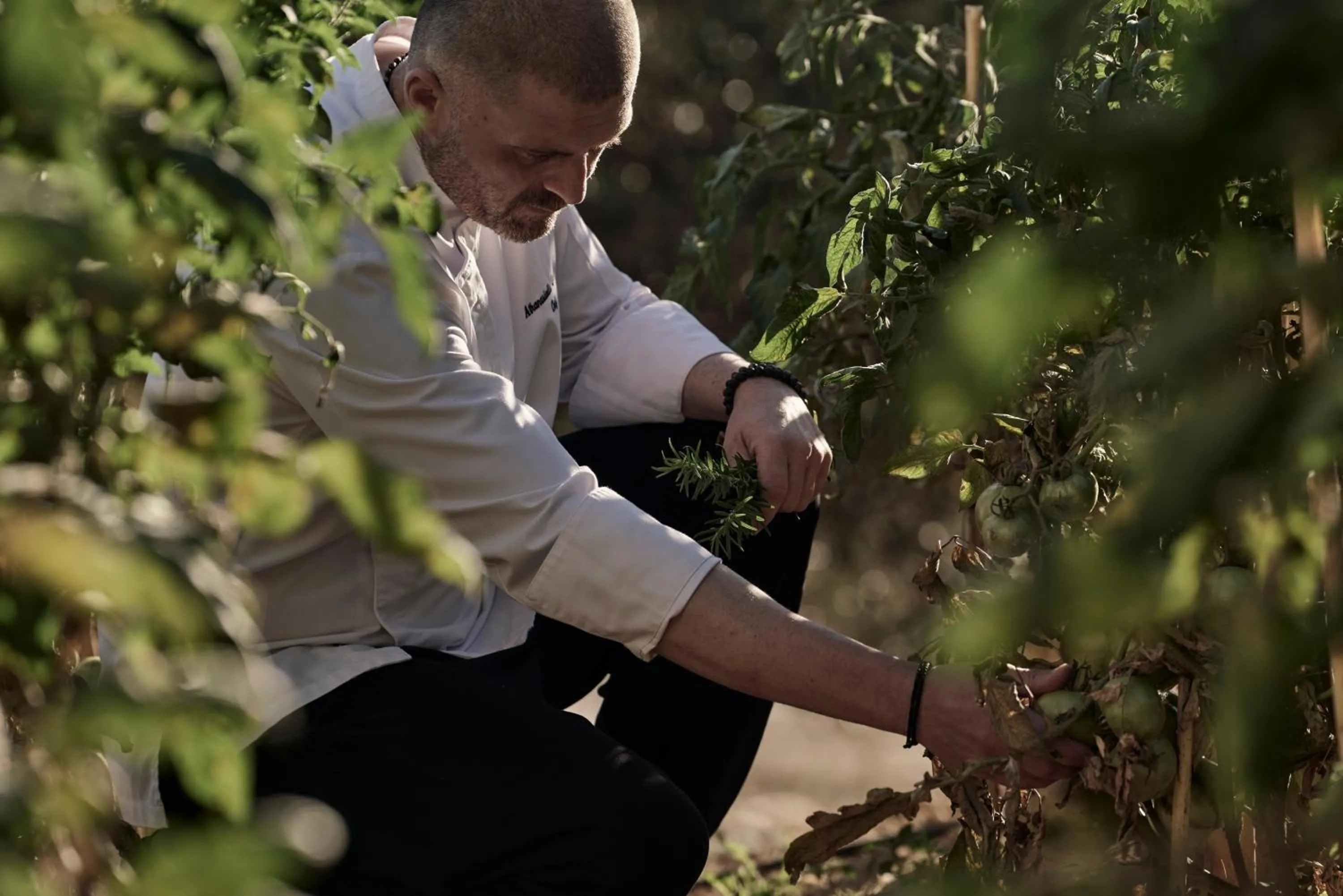 Staff in Celestial All Suites