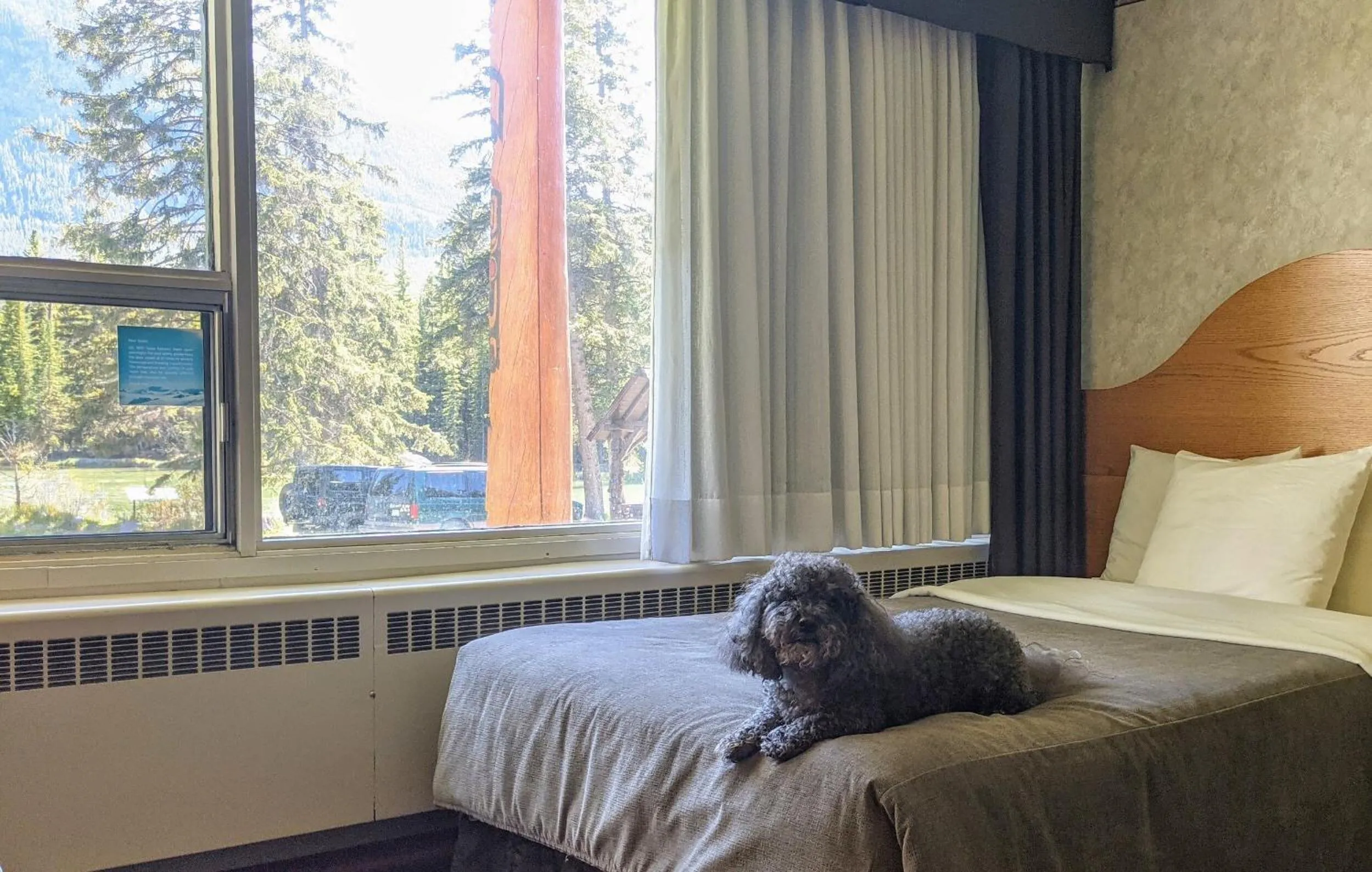Bedroom, Bed in Bow View Lodge