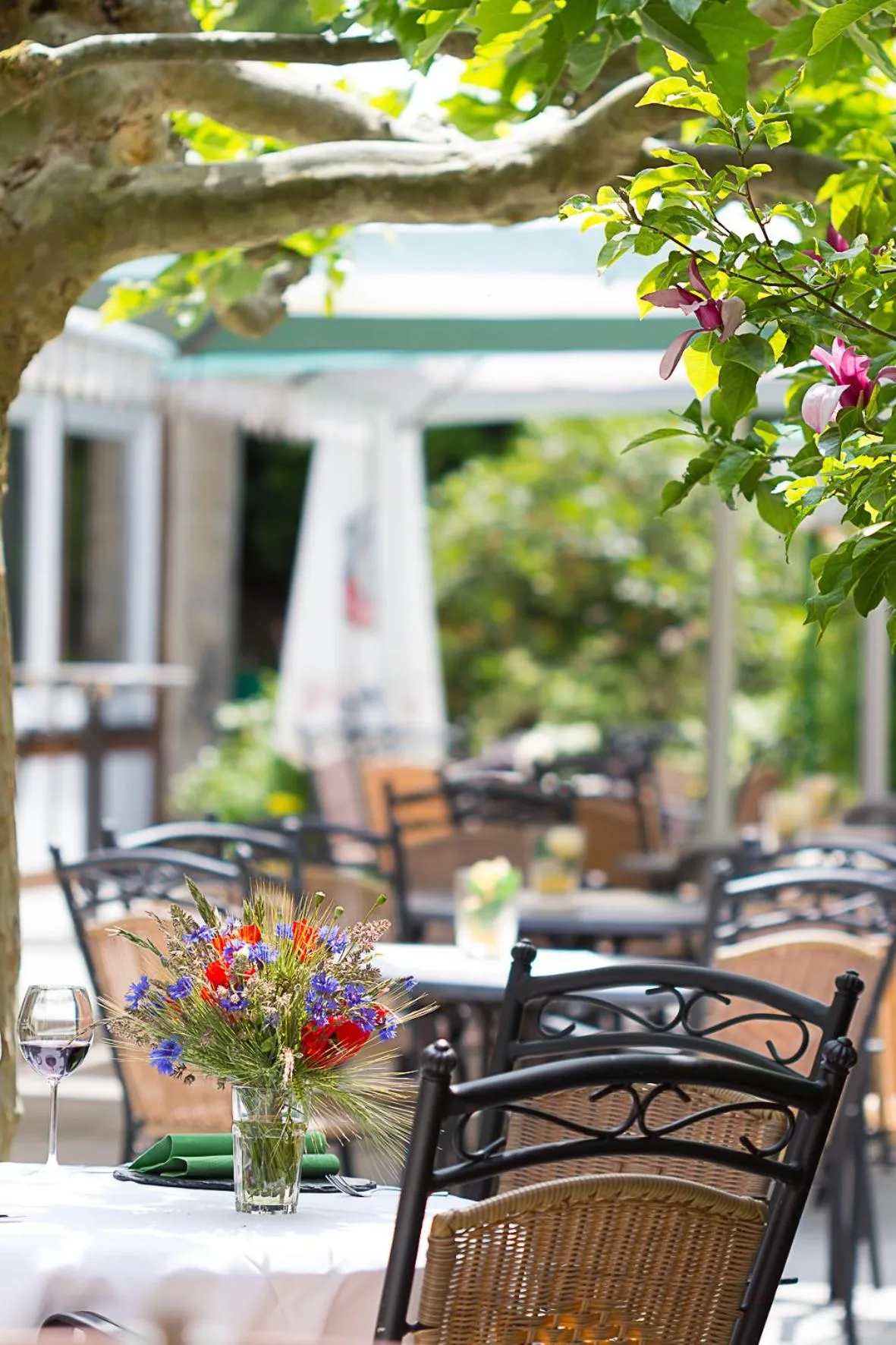 Garden in Waldhotel Kurfürst