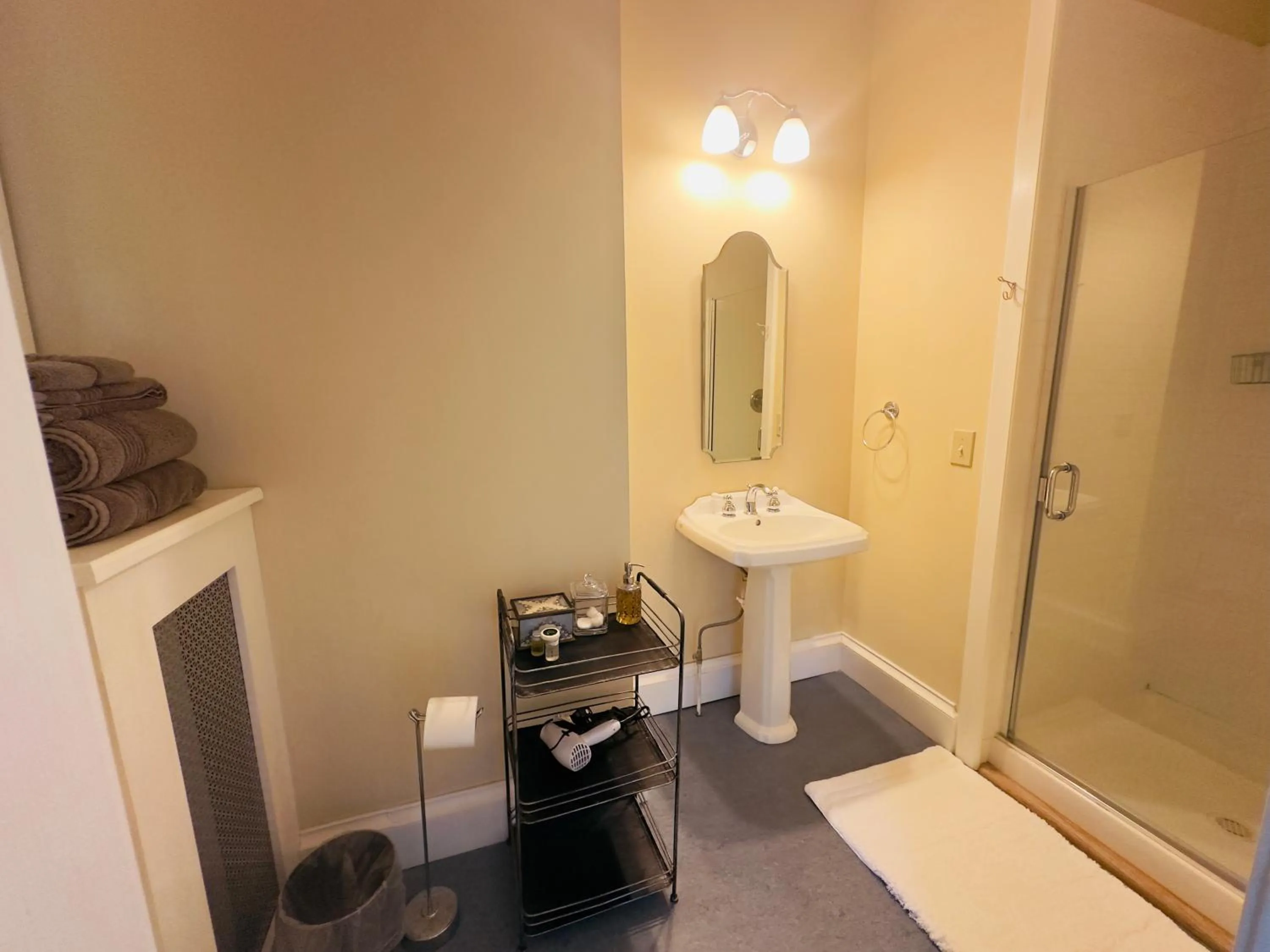 Shower in Franklin Manor Bed and Breakfast