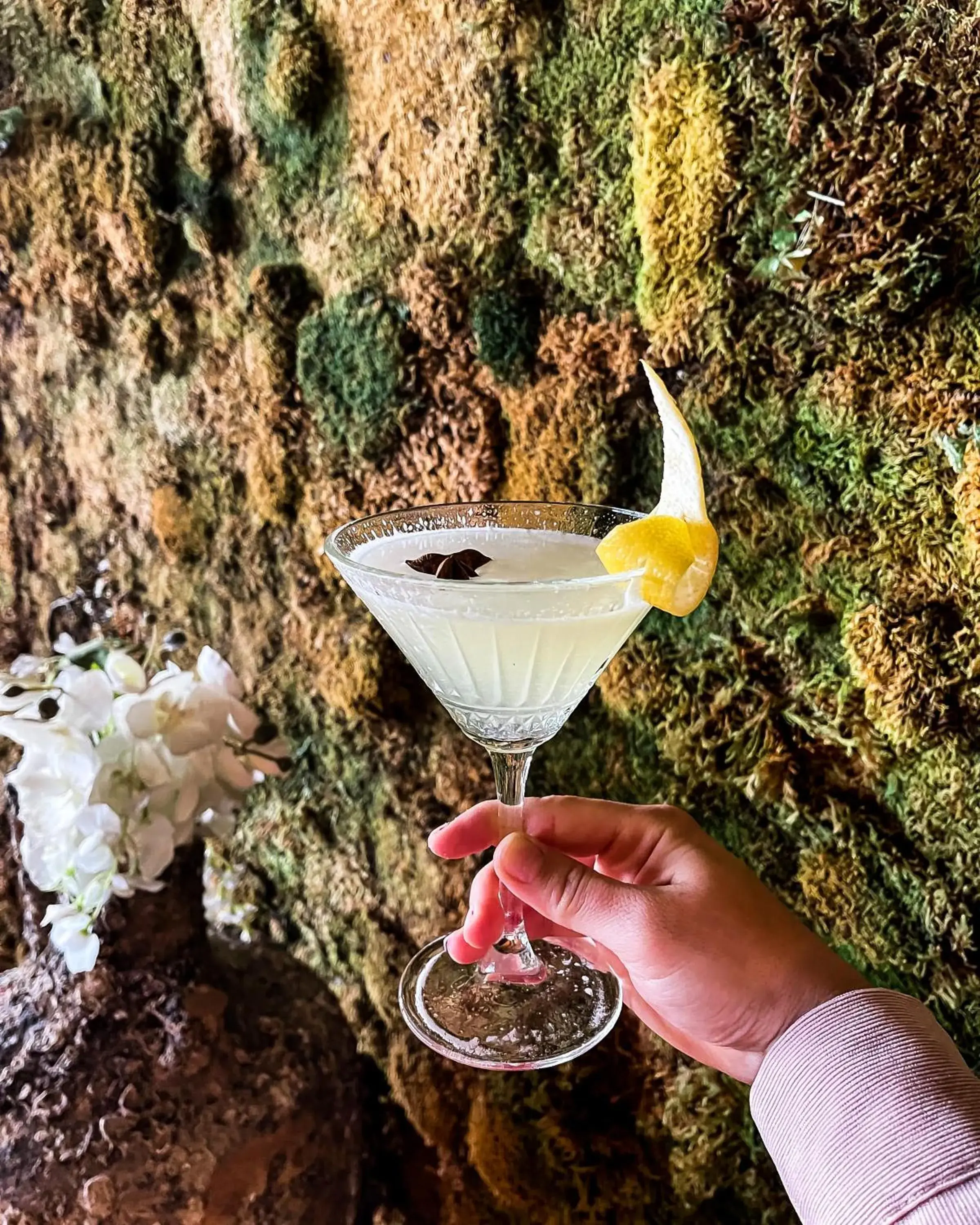 Restaurant/places to eat in Hotel Brooklyn Vlore Restaurant/places to eat in Hotel Brooklyn Vlore