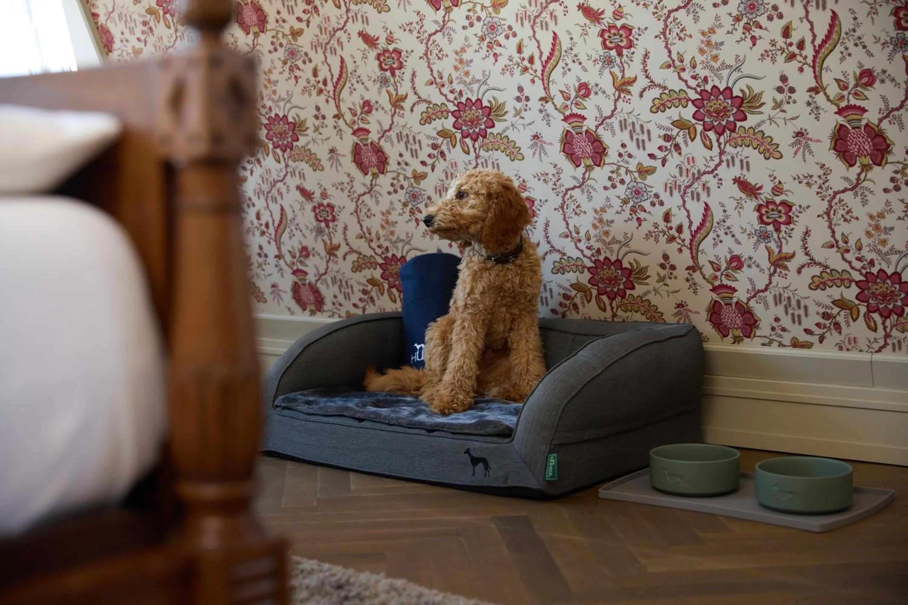 Photo of the whole room in Hotel Detmolder Hof