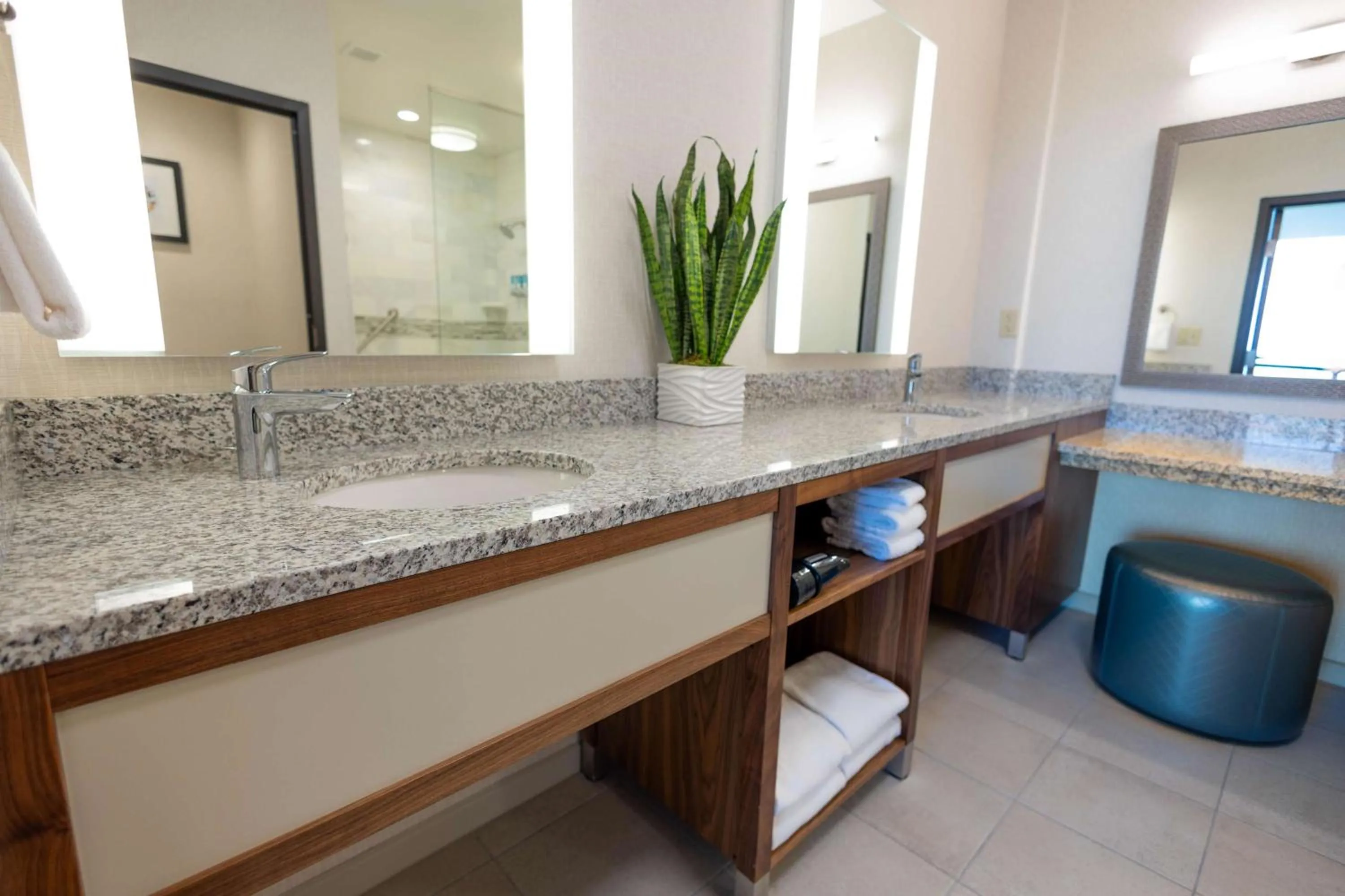 Bathroom in Drury Plaza Hotel Orlando - Disney Springs Area