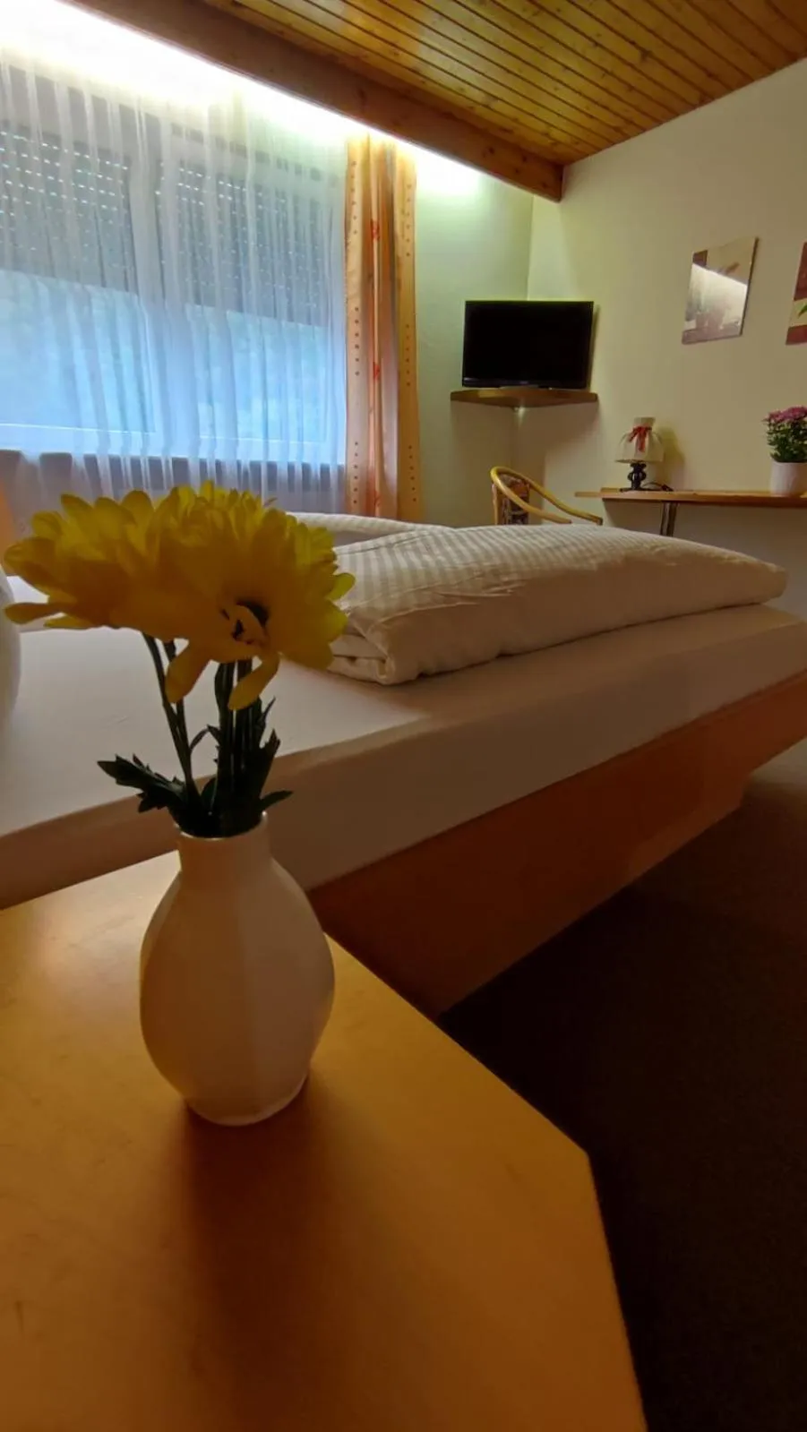 TV and multimedia in Hotel Freihof