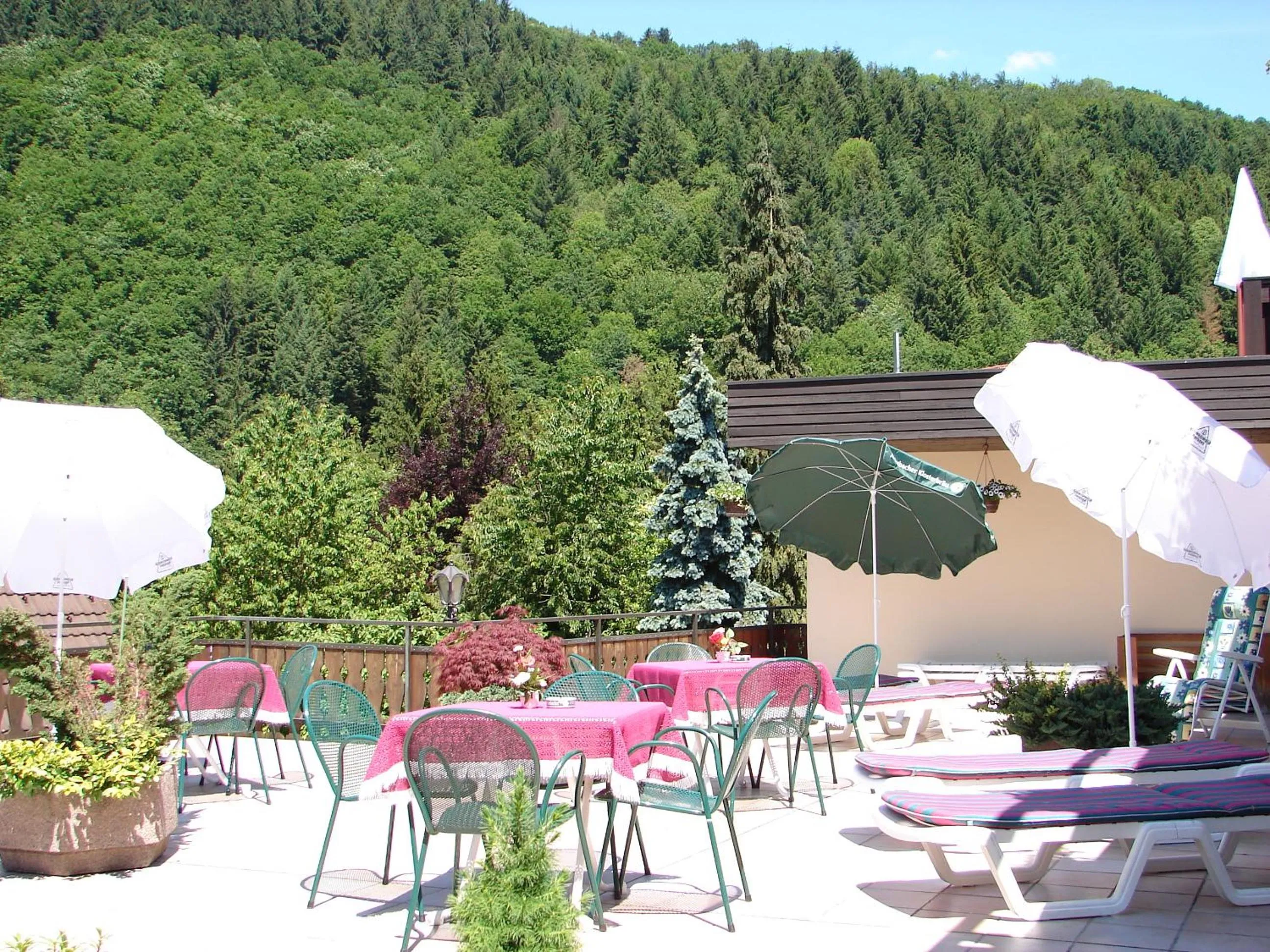 Patio in Hotel Freihof