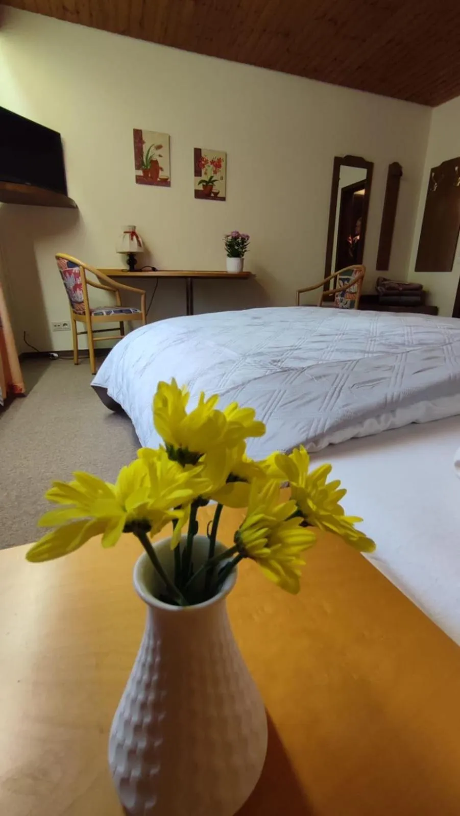 TV and multimedia in Hotel Freihof