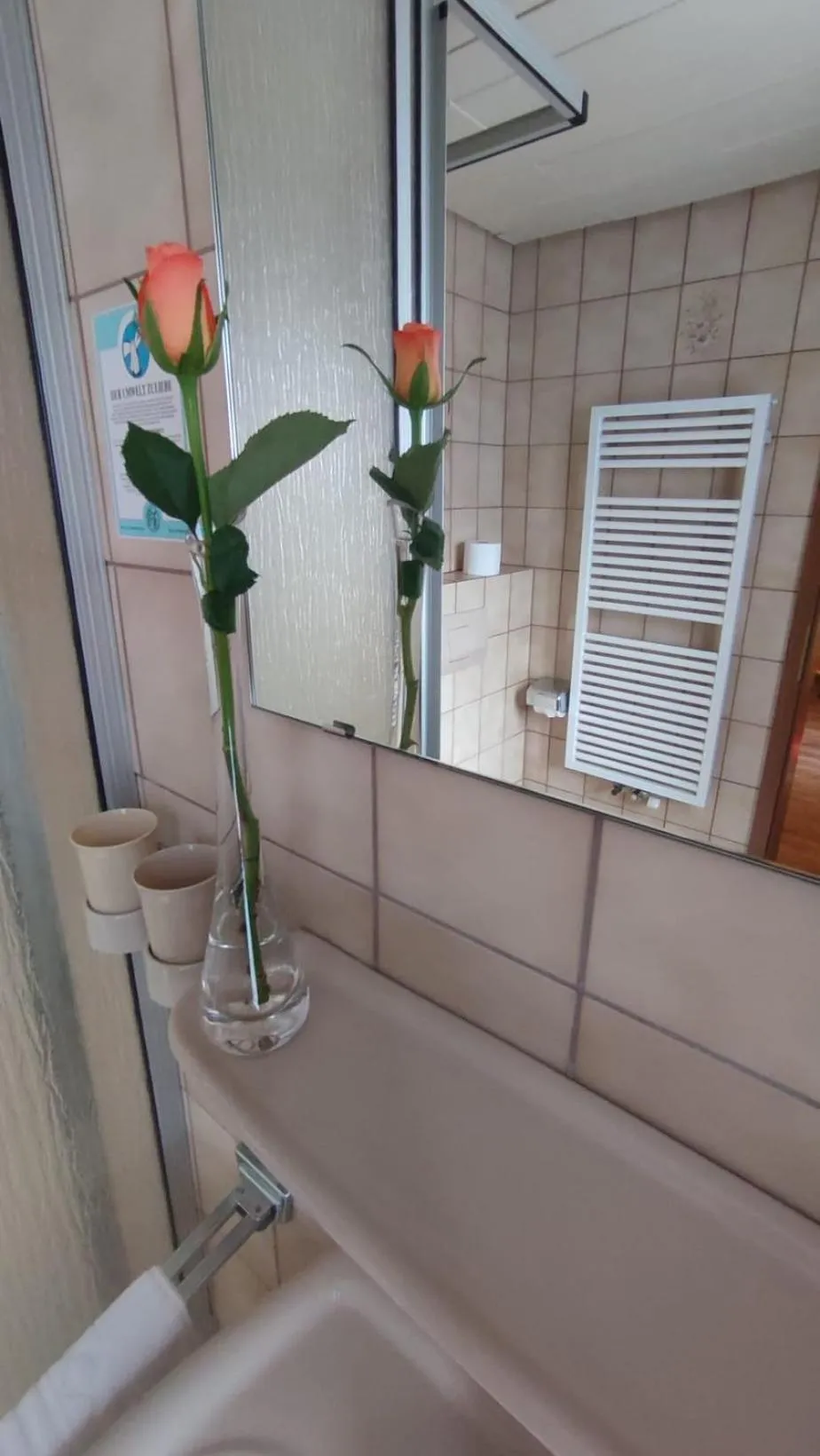 Bathroom in Hotel Freihof