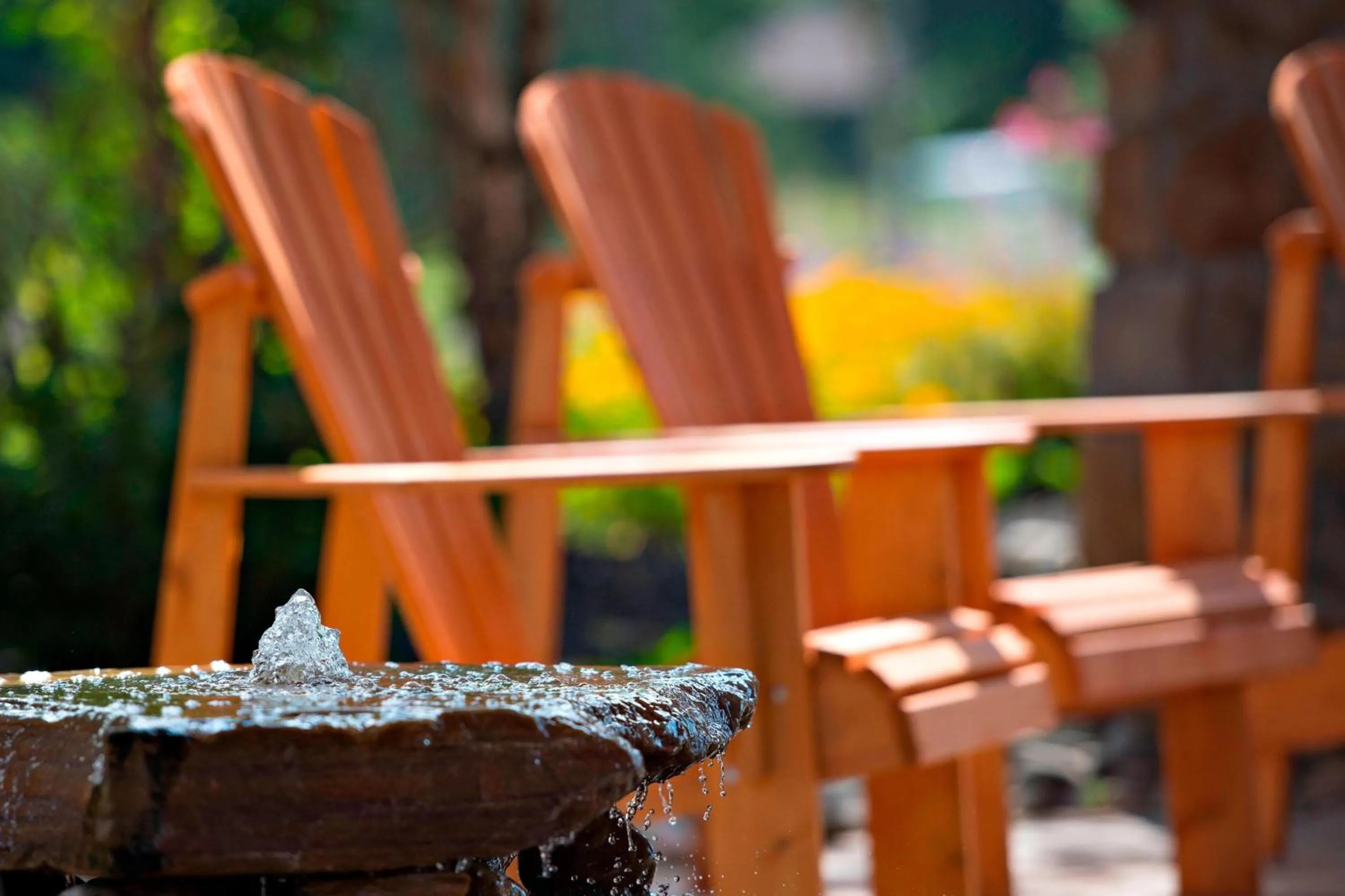 View (from property/room) in Courtyard Marriott Lake Placid
