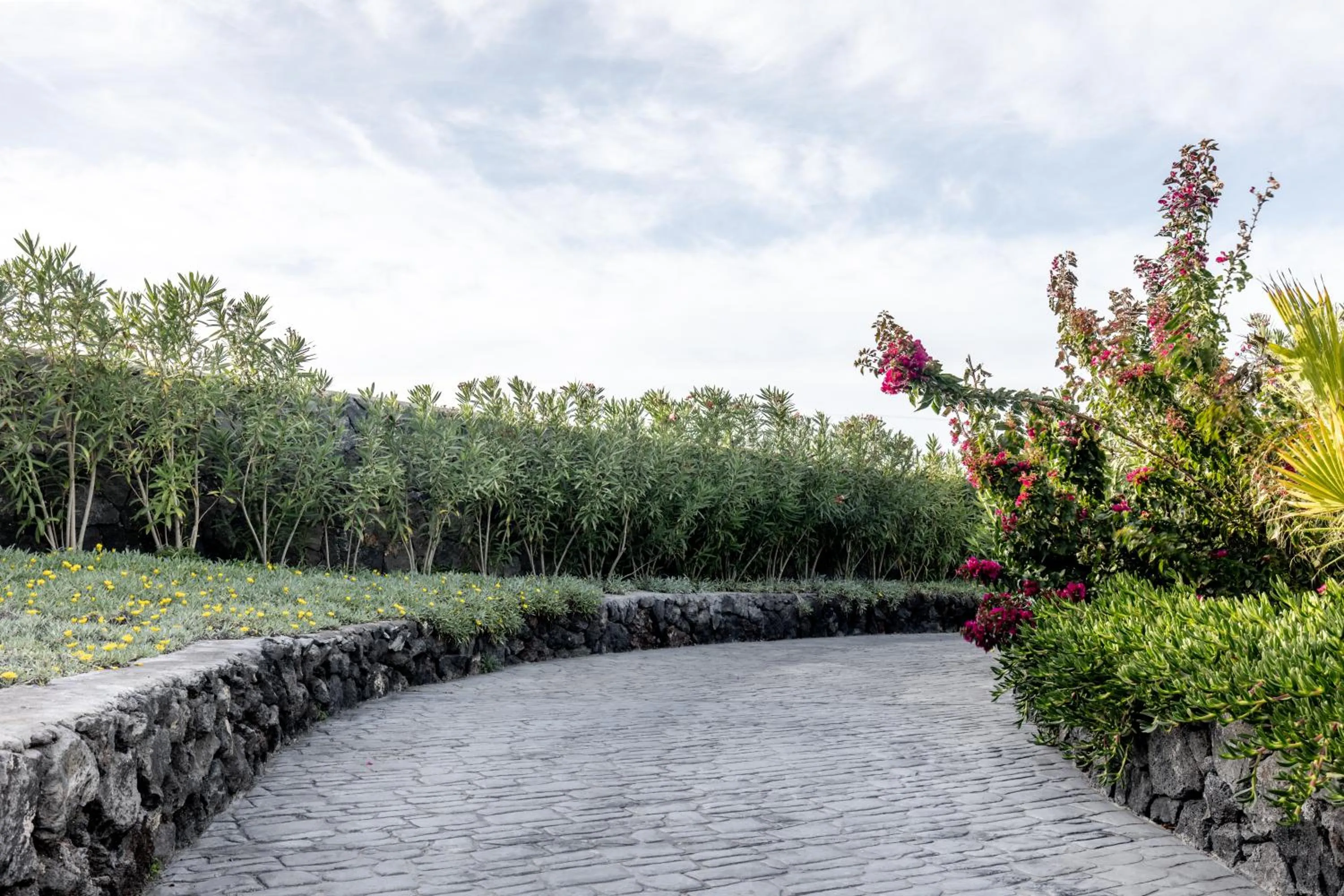 Garden in Cresanto Luxury Suites