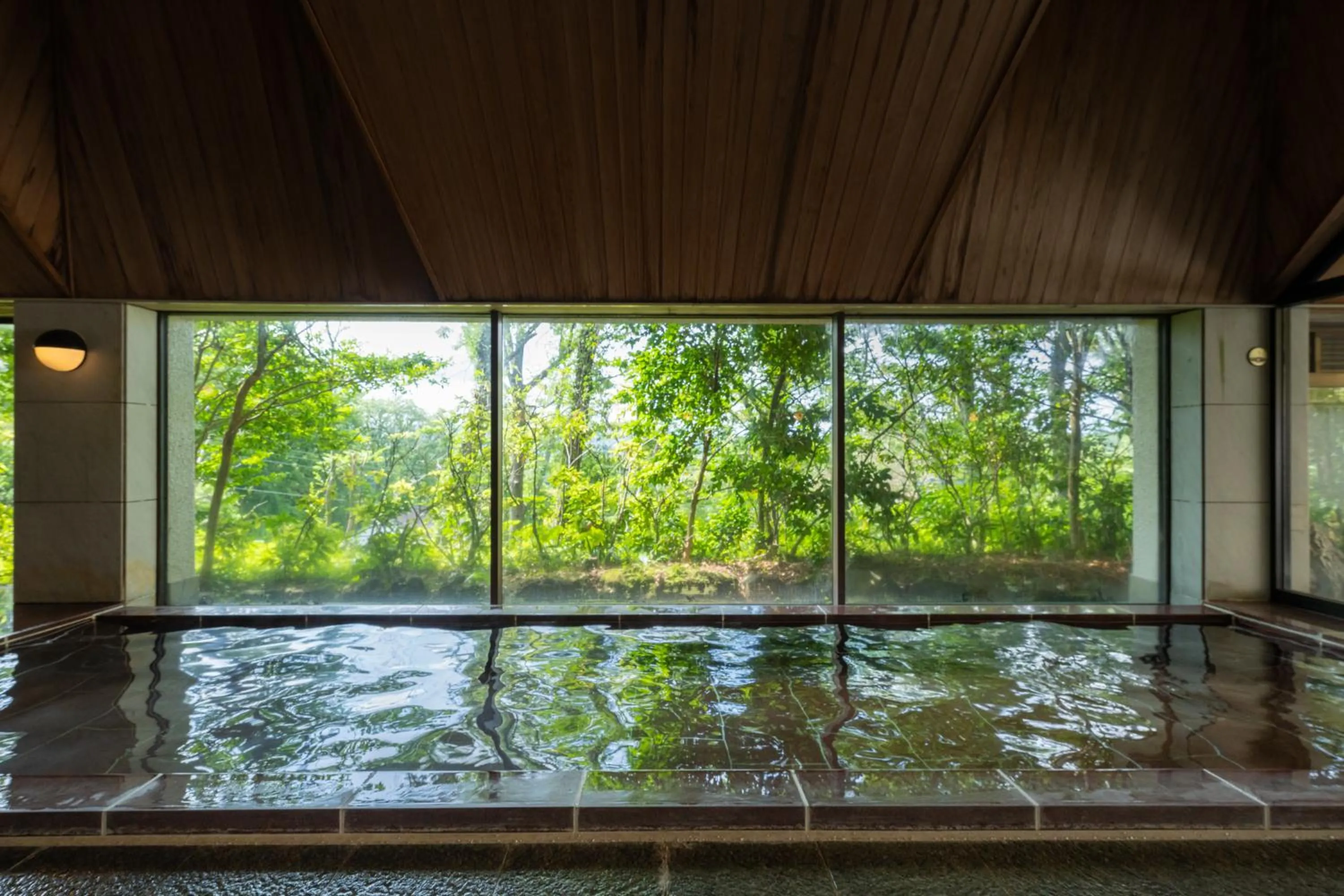 Public Bath in 伊豆高原温泉ホテル 森の泉
