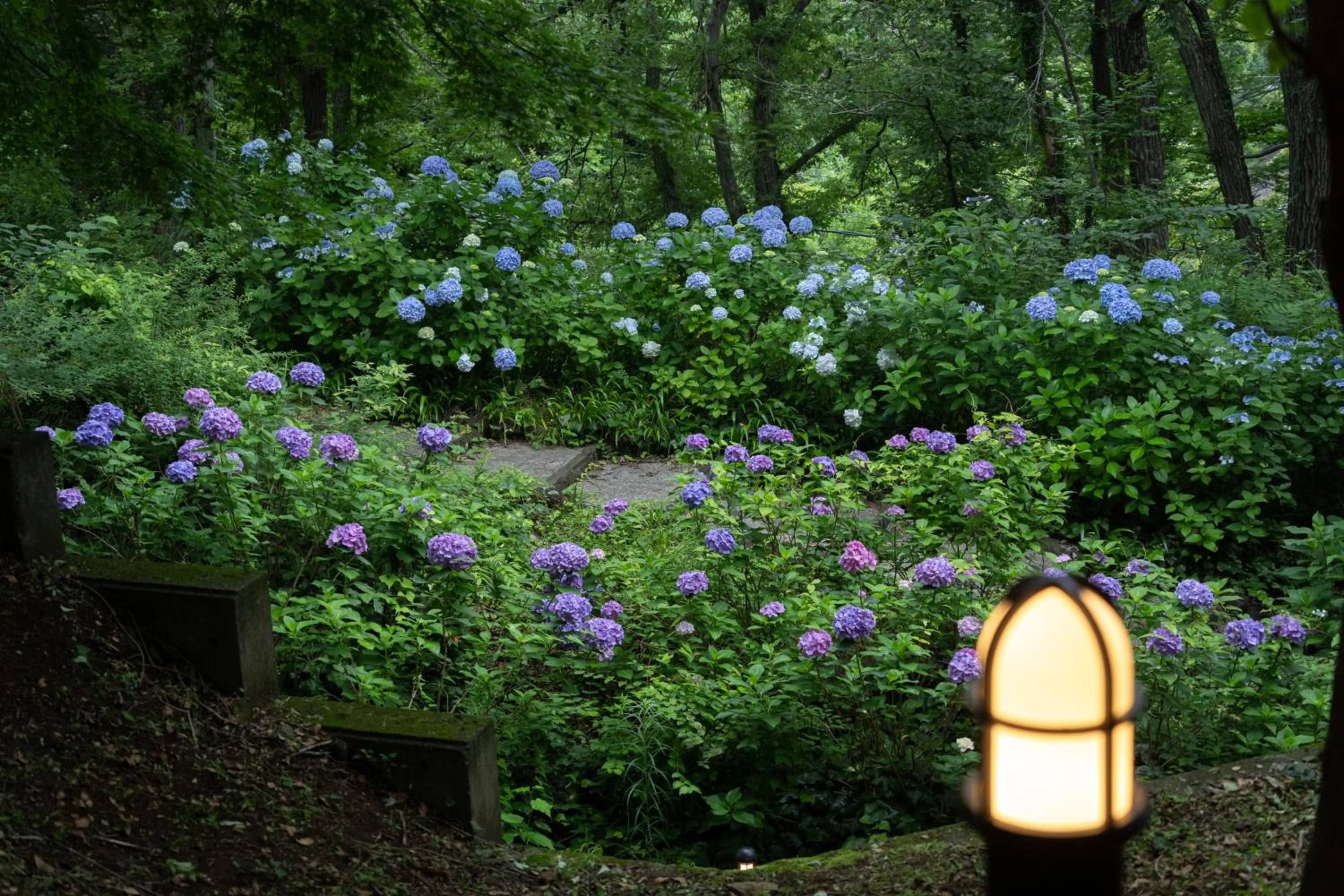 Garden in 伊豆高原温泉ホテル 森の泉