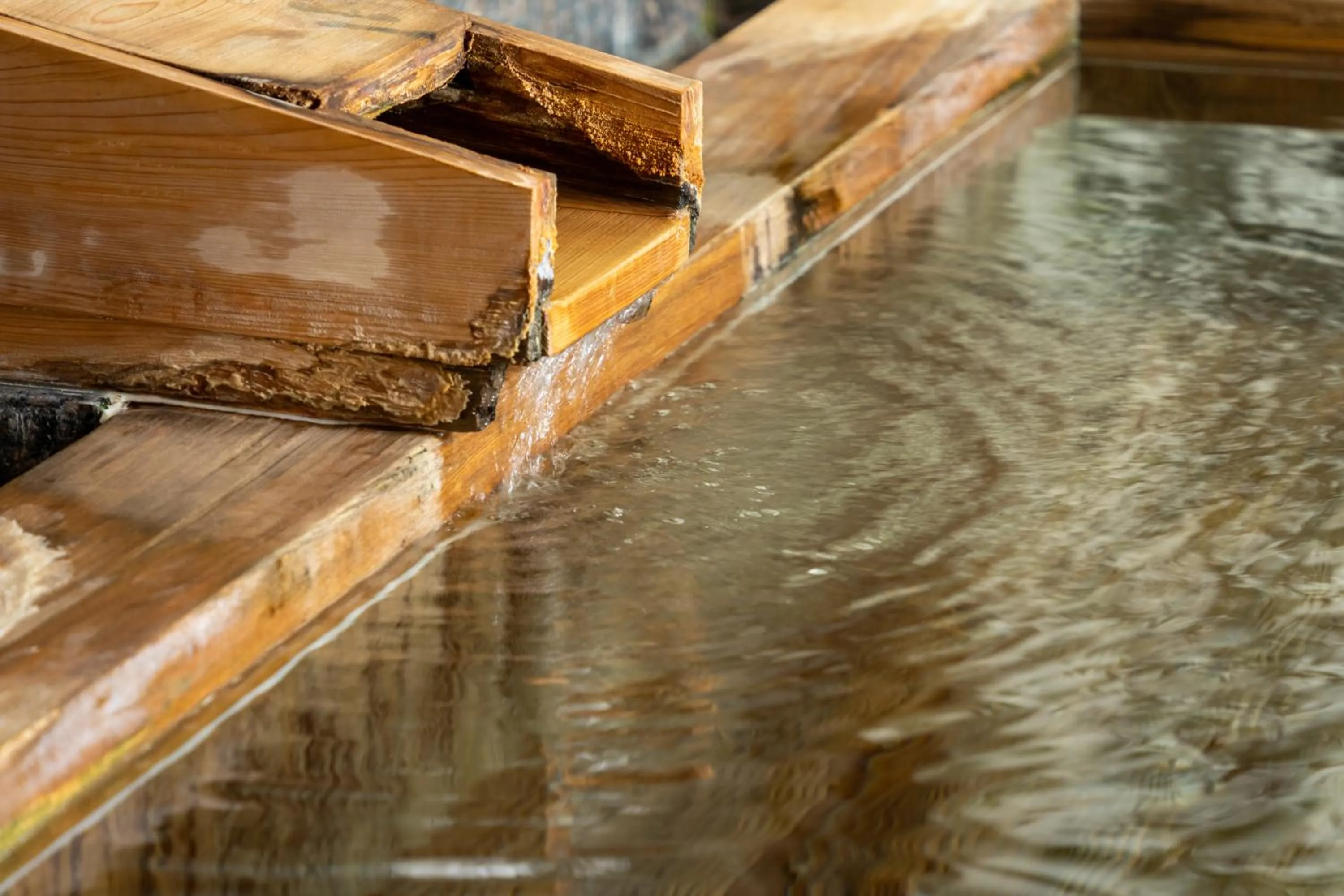 Public Bath in 伊豆高原温泉ホテル 森の泉