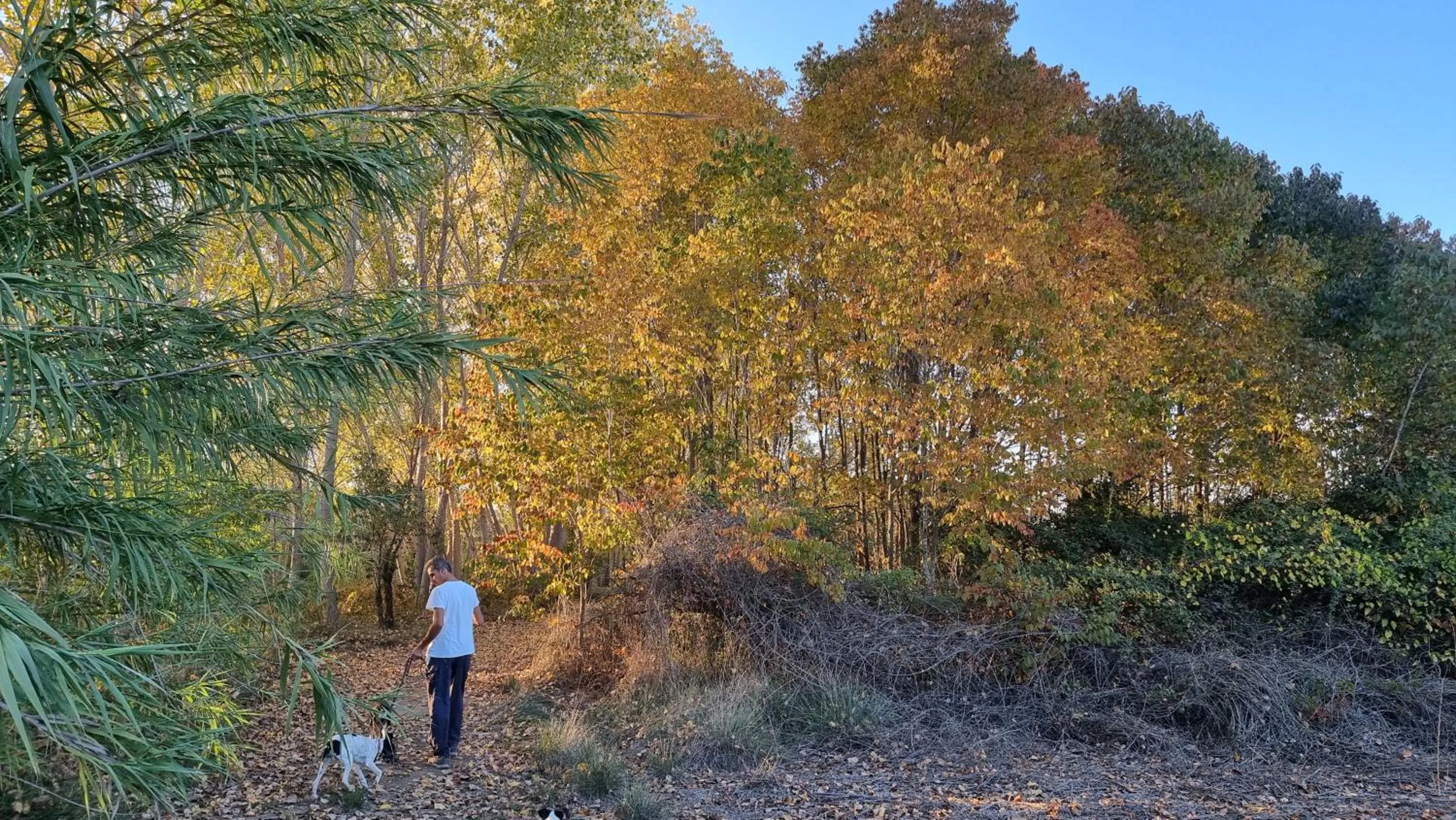People in Casa Rural Buenavista Pedralba