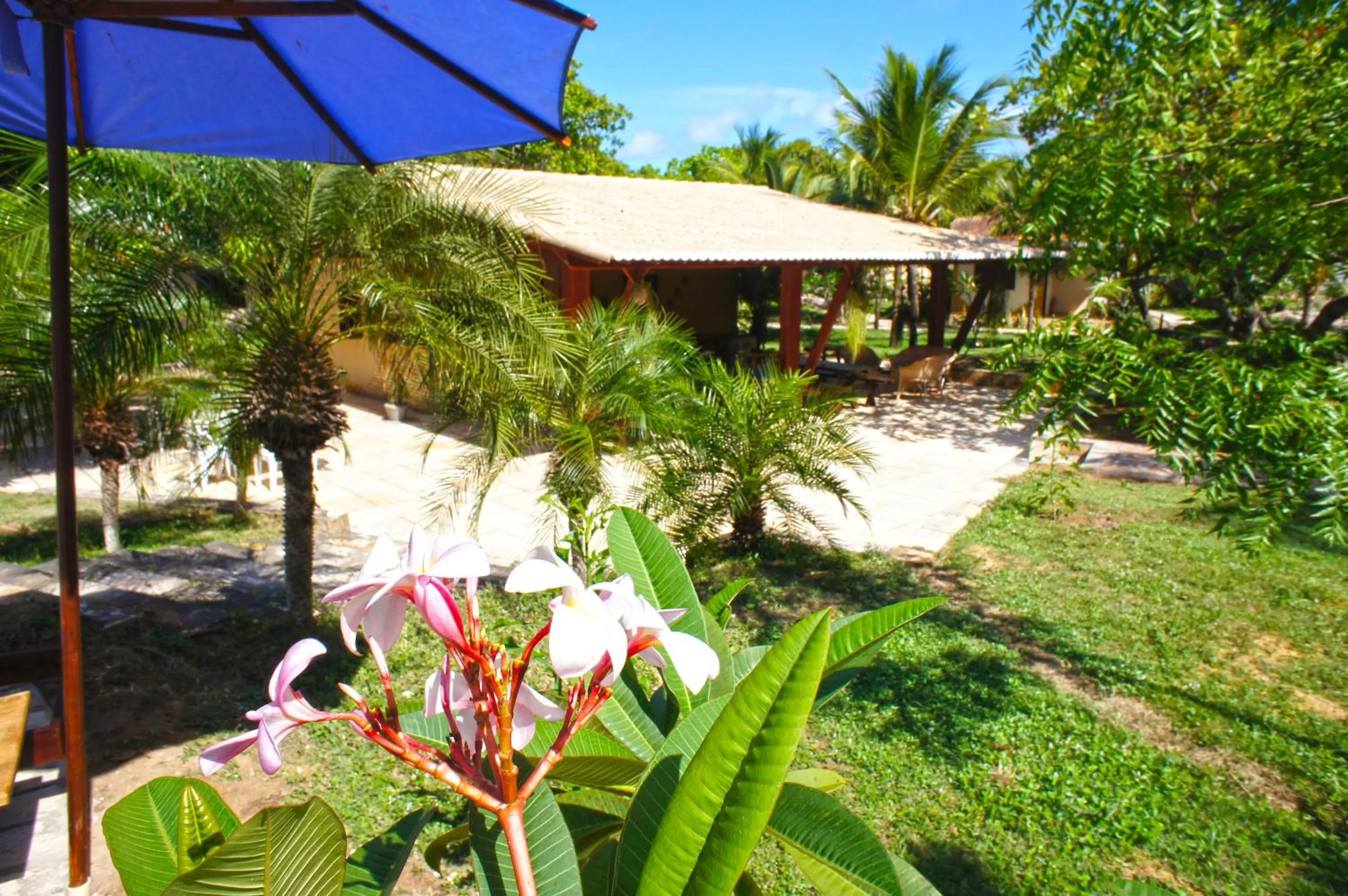 Restaurant/places to eat in Pousada Sol e Luna