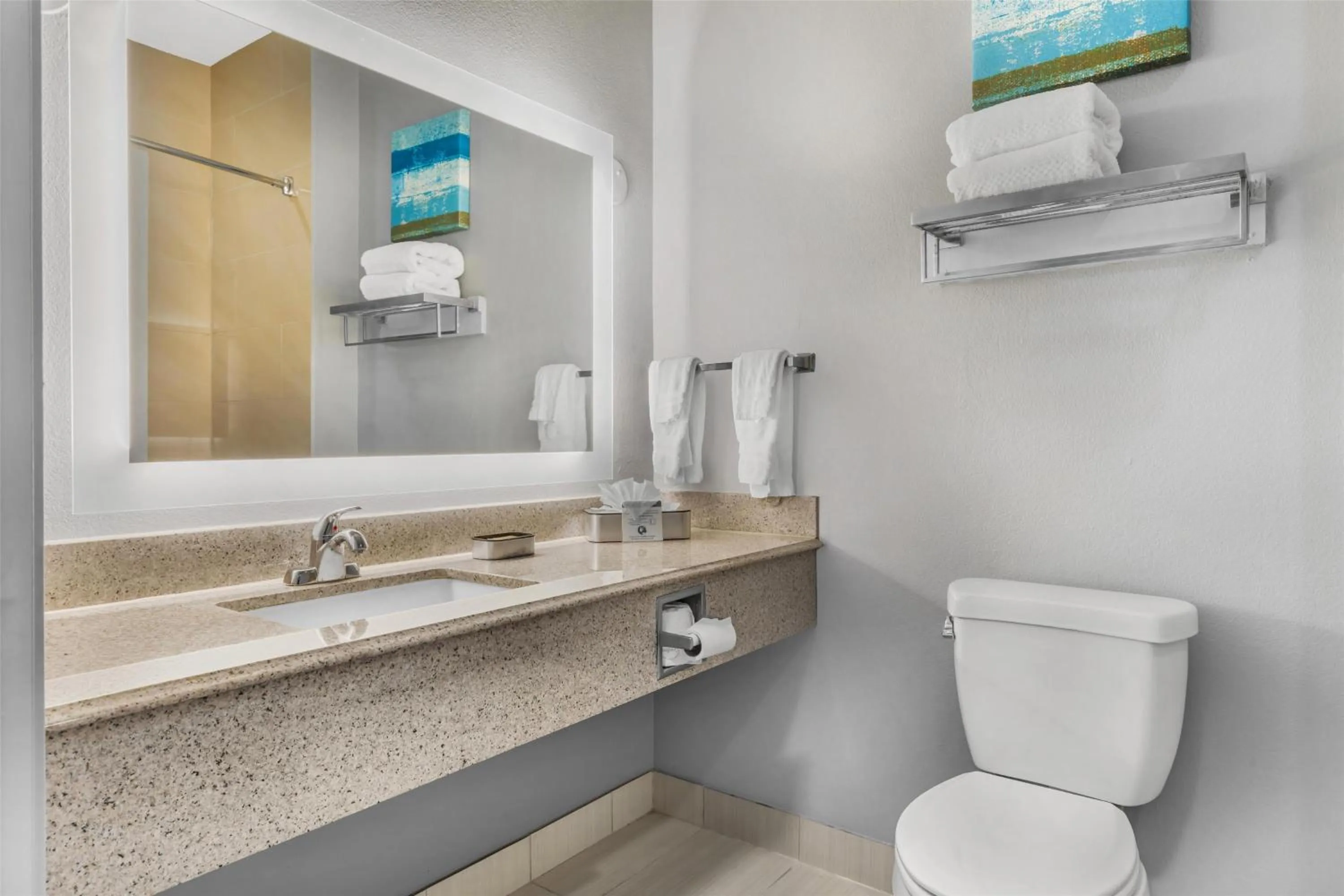 Bathroom in Best Western Plus Fort Worth Forest Hill Inn & Suites