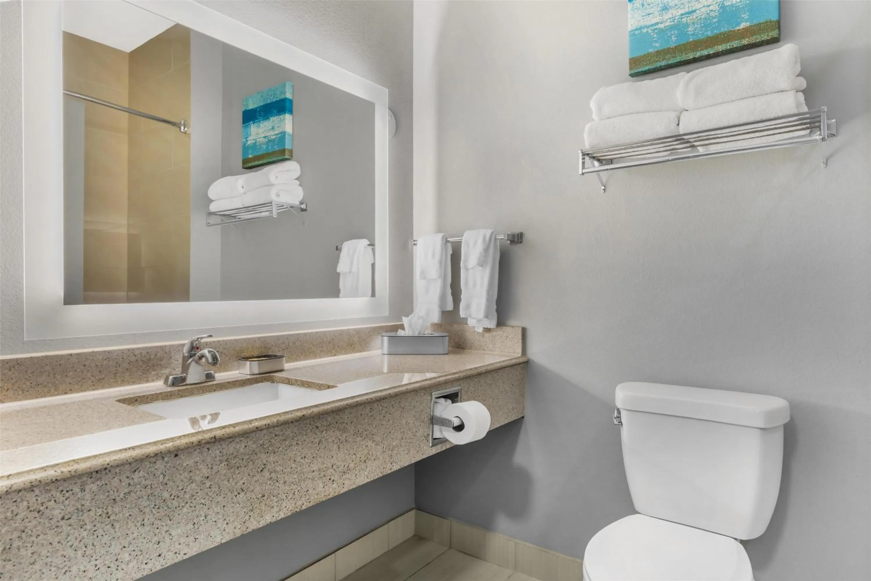 Bathroom in Best Western Plus Fort Worth Forest Hill Inn & Suites