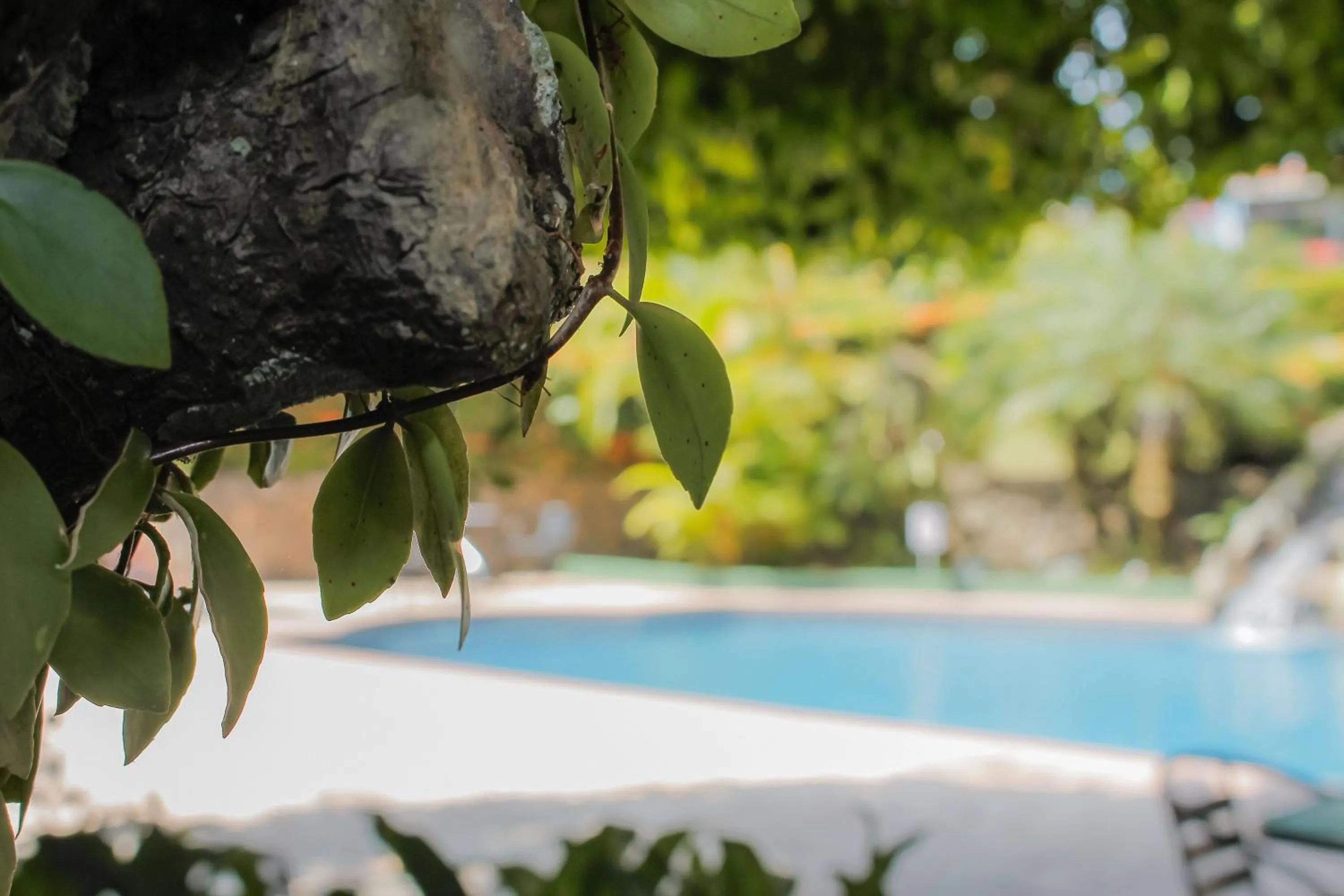 Hotel Divisamar by LHR